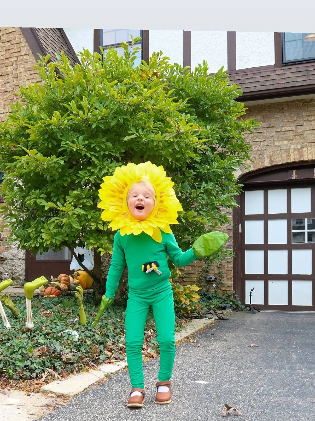 Bees, blooms &amp; one busy keeper. 💛🐝🌻