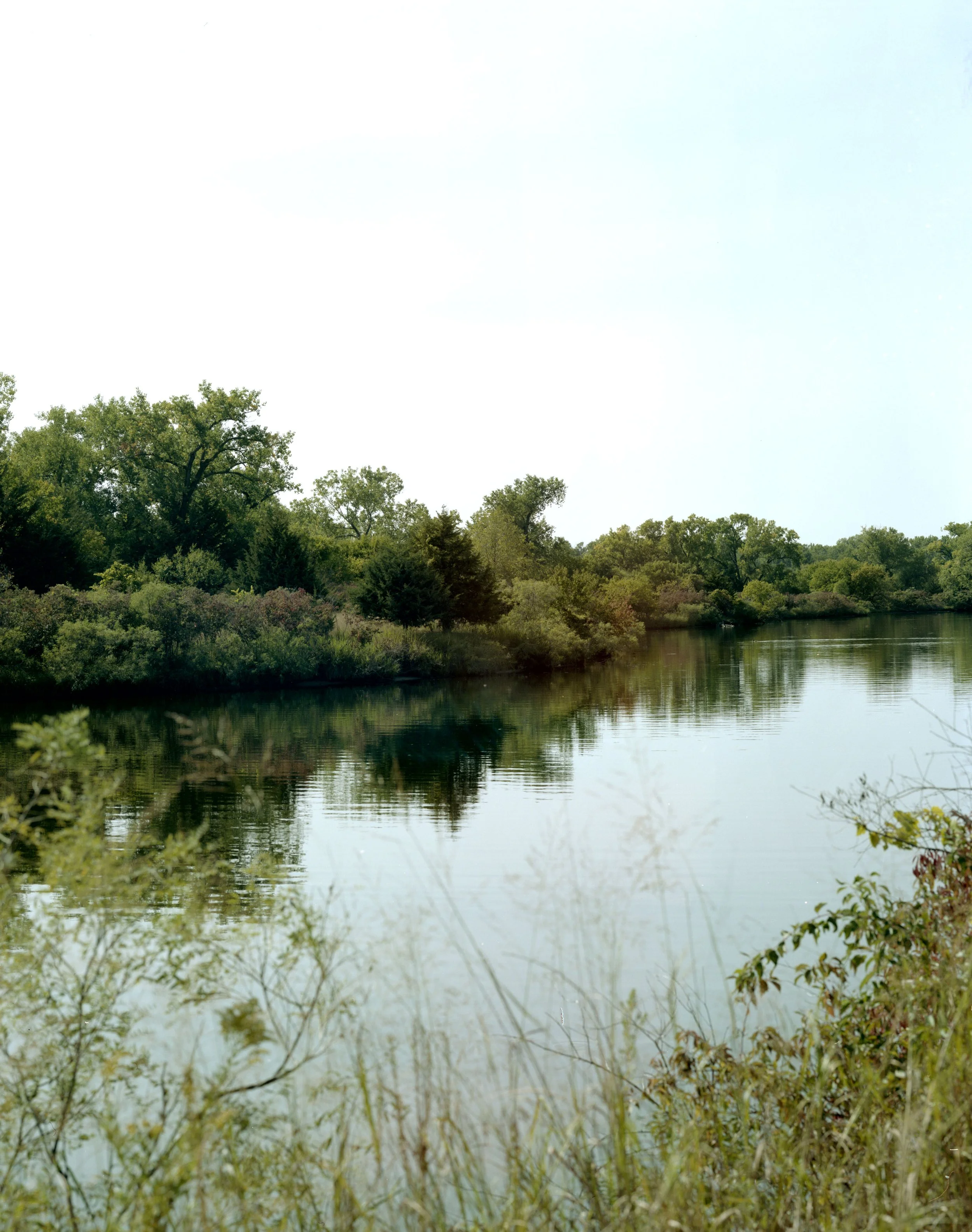 "Lakside," Large format camera, 2020