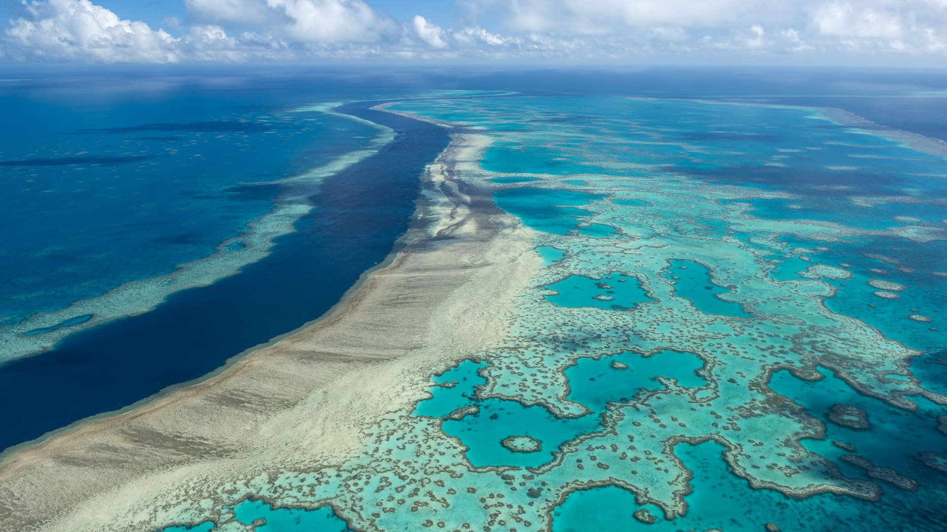 The Power of Words in Saving the Great Barrier Reef