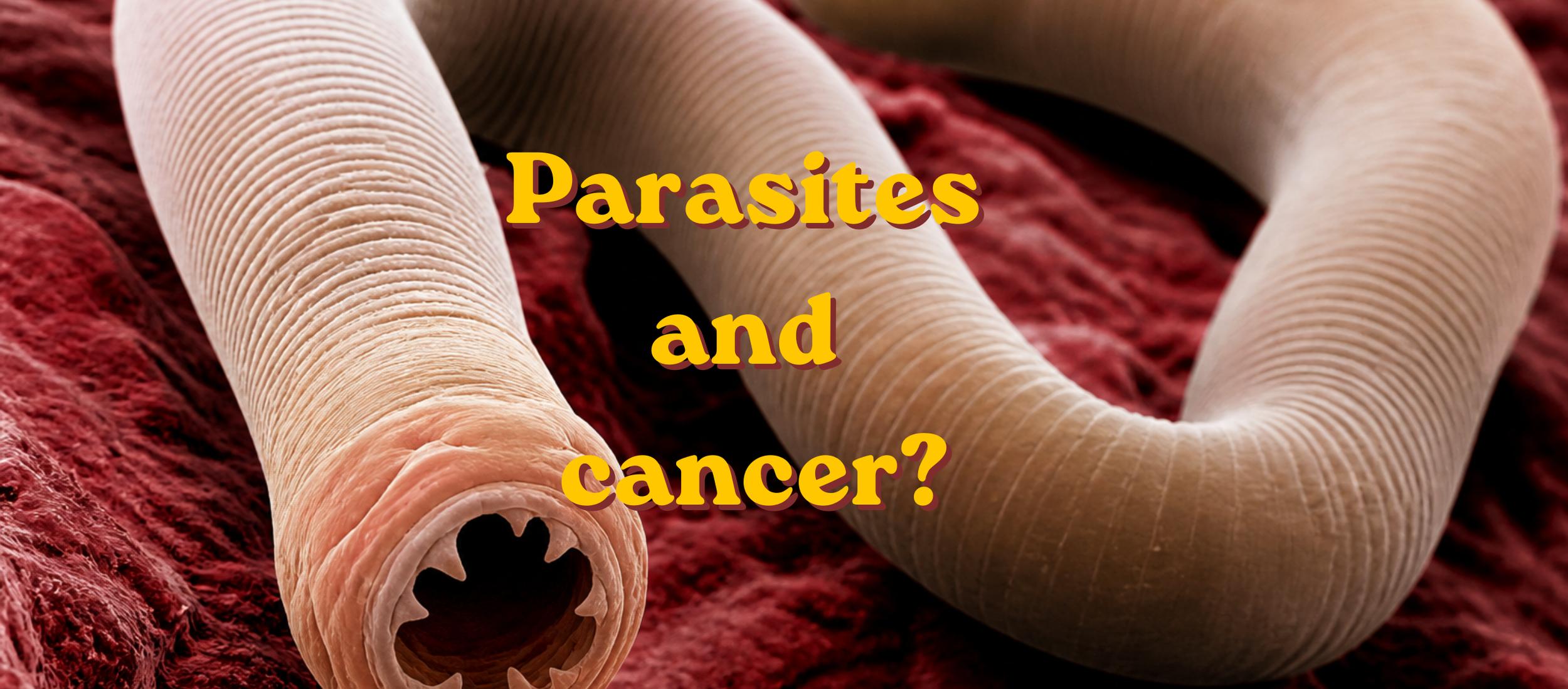 Parasites and Cancer - Is there a Connection?