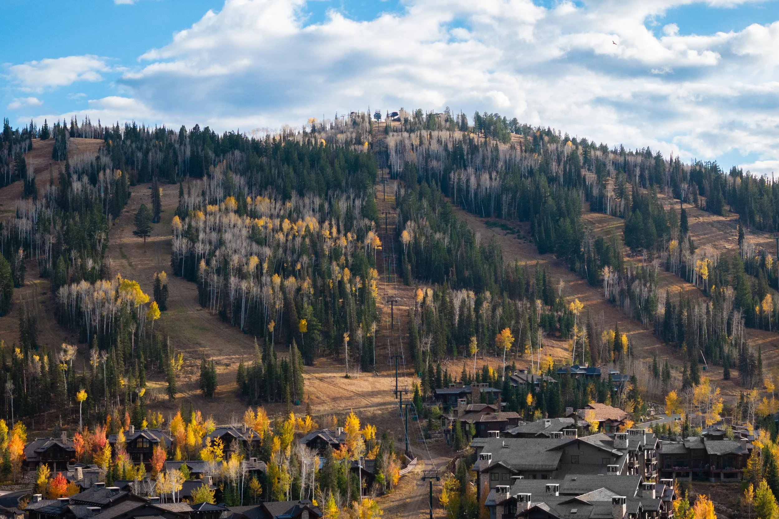 Flagstaff Lodge surrounded by golden aspens in early autumn