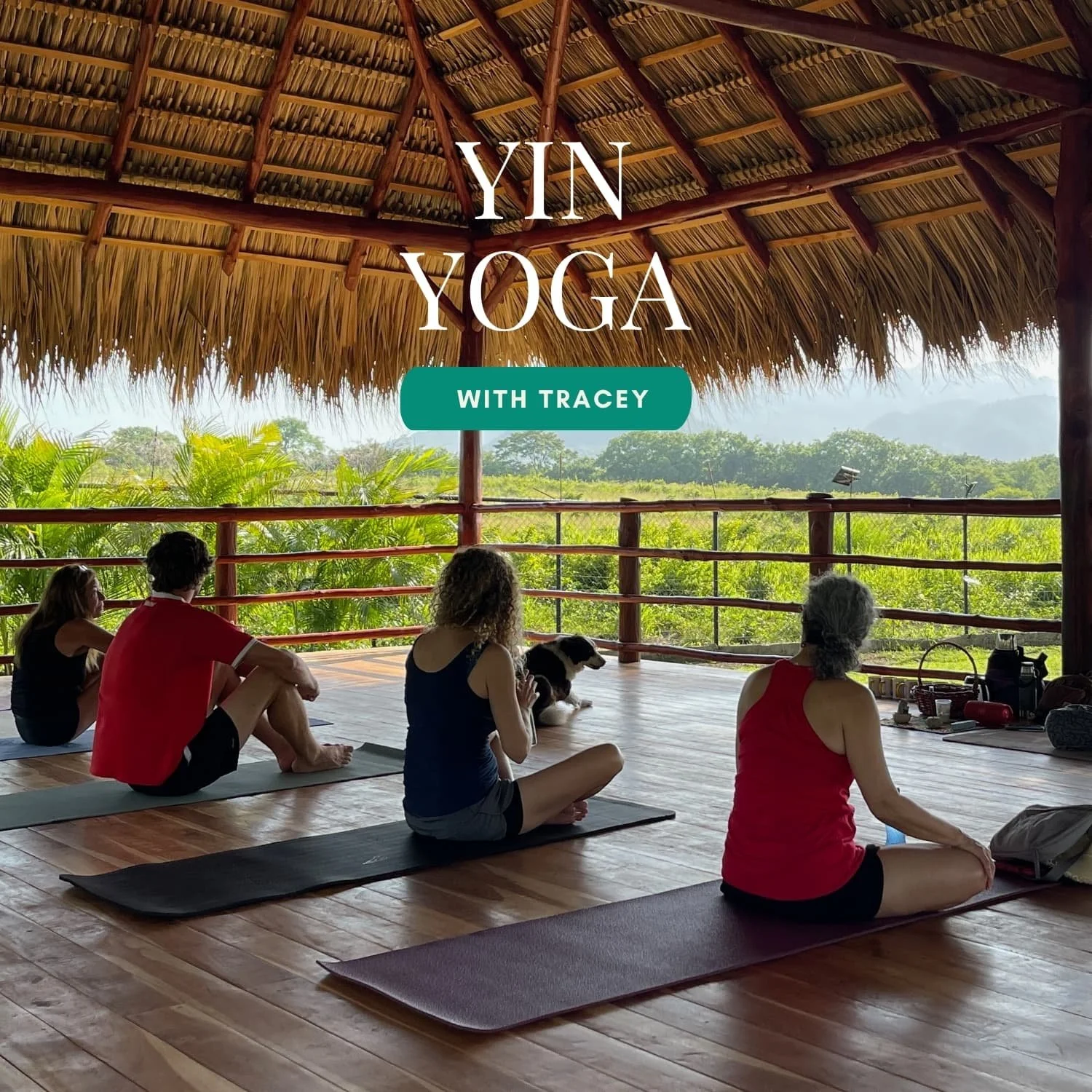 Yin Yoga with Tracey