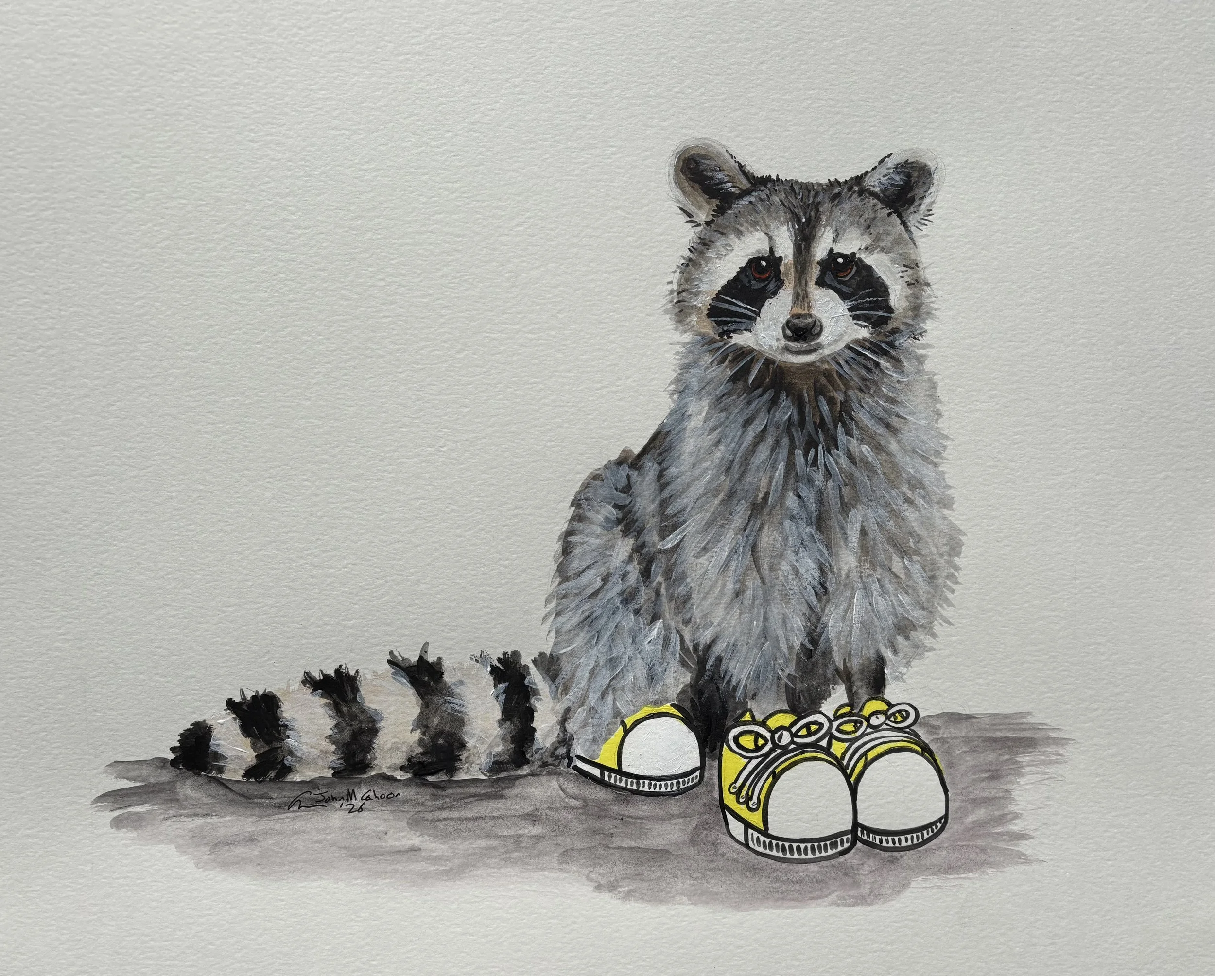 racoon.jpeg