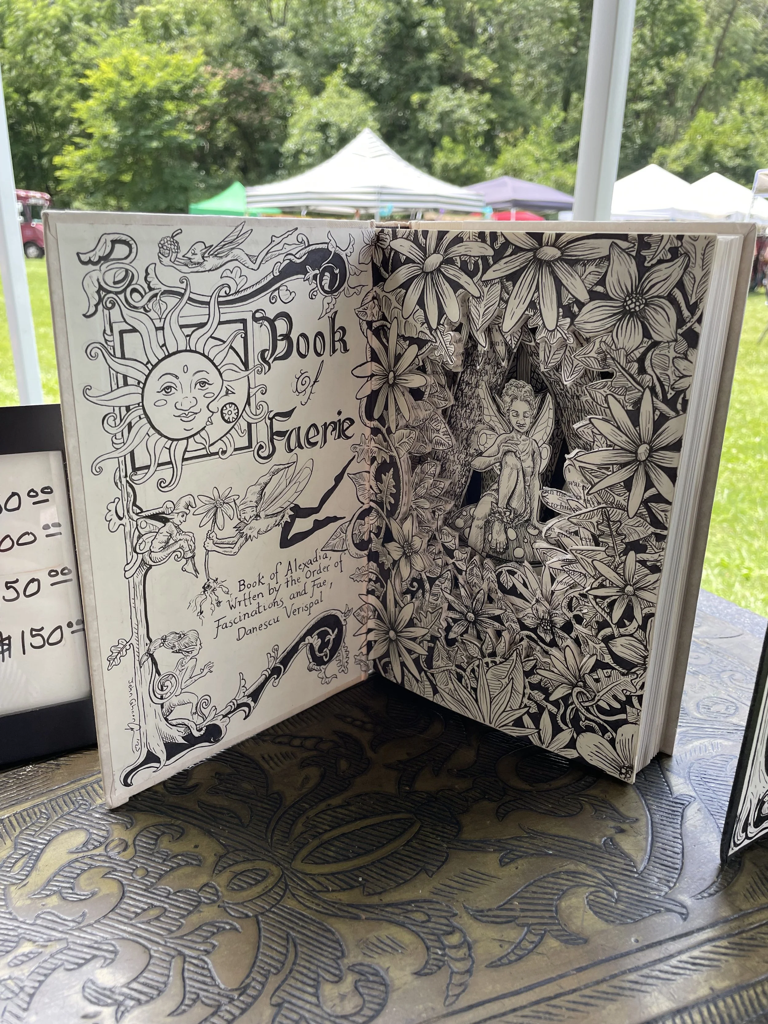 book of fairie.jpg