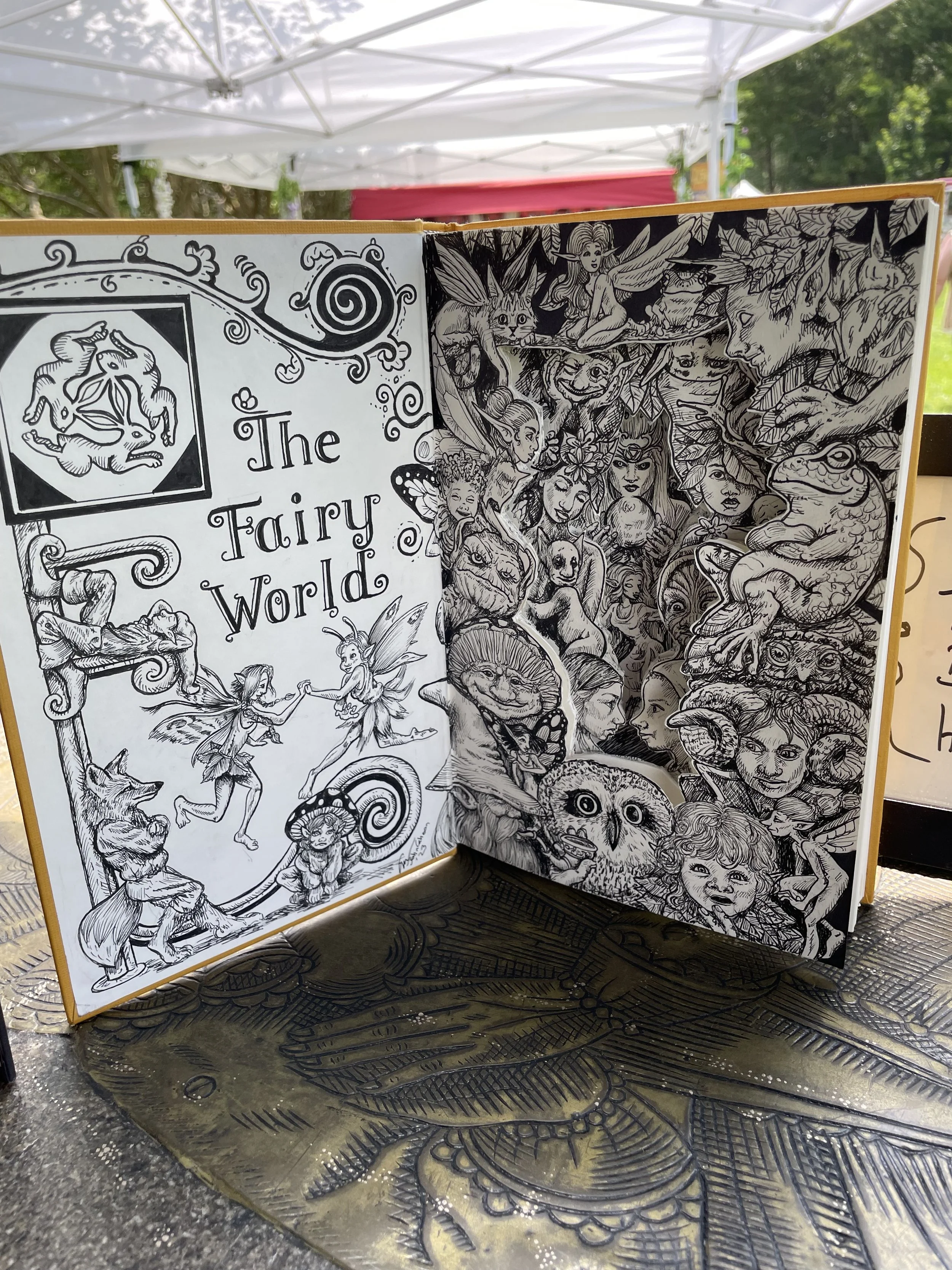 the fairy world book.jpg