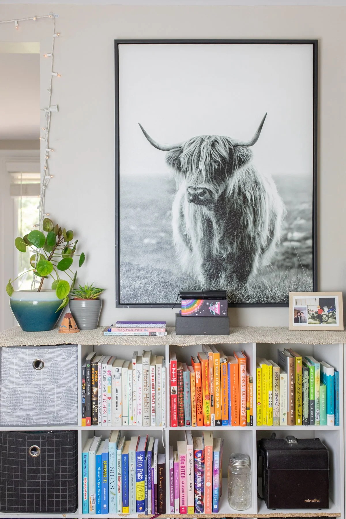 A living room shelf with books organized by color, a black and white photo of a highland cow, potted plants, a digital tablet, and a framed photo.