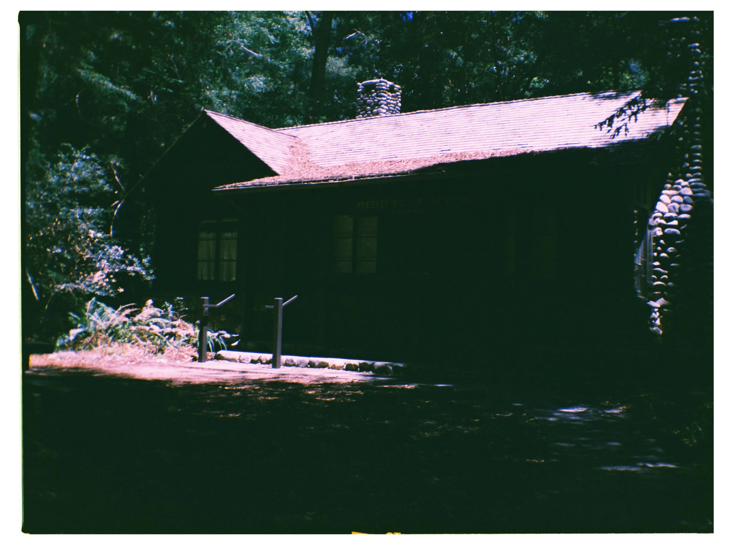 korygabrie004035-R1-002.jpg