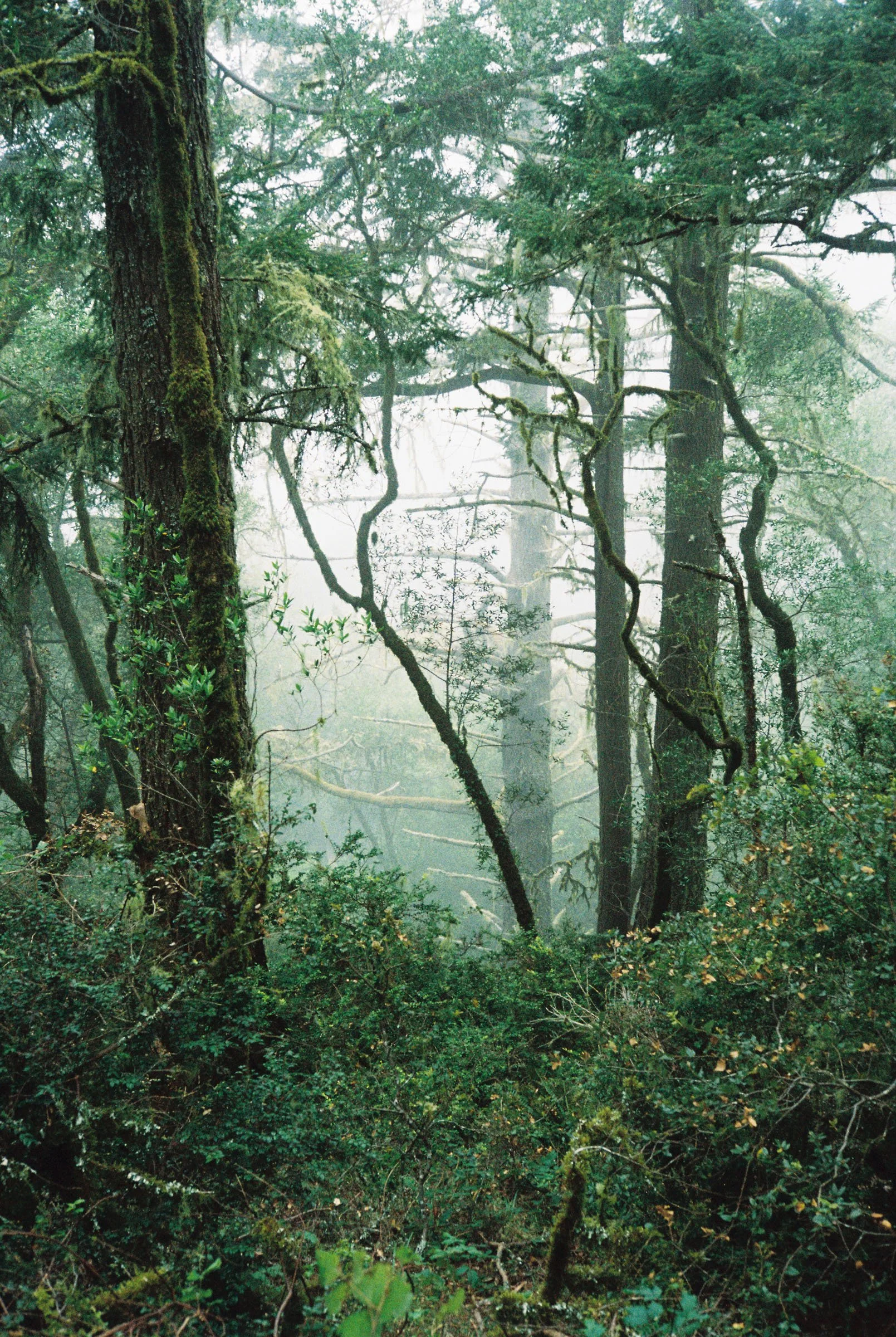 korygariel004038-R1-018.jpg