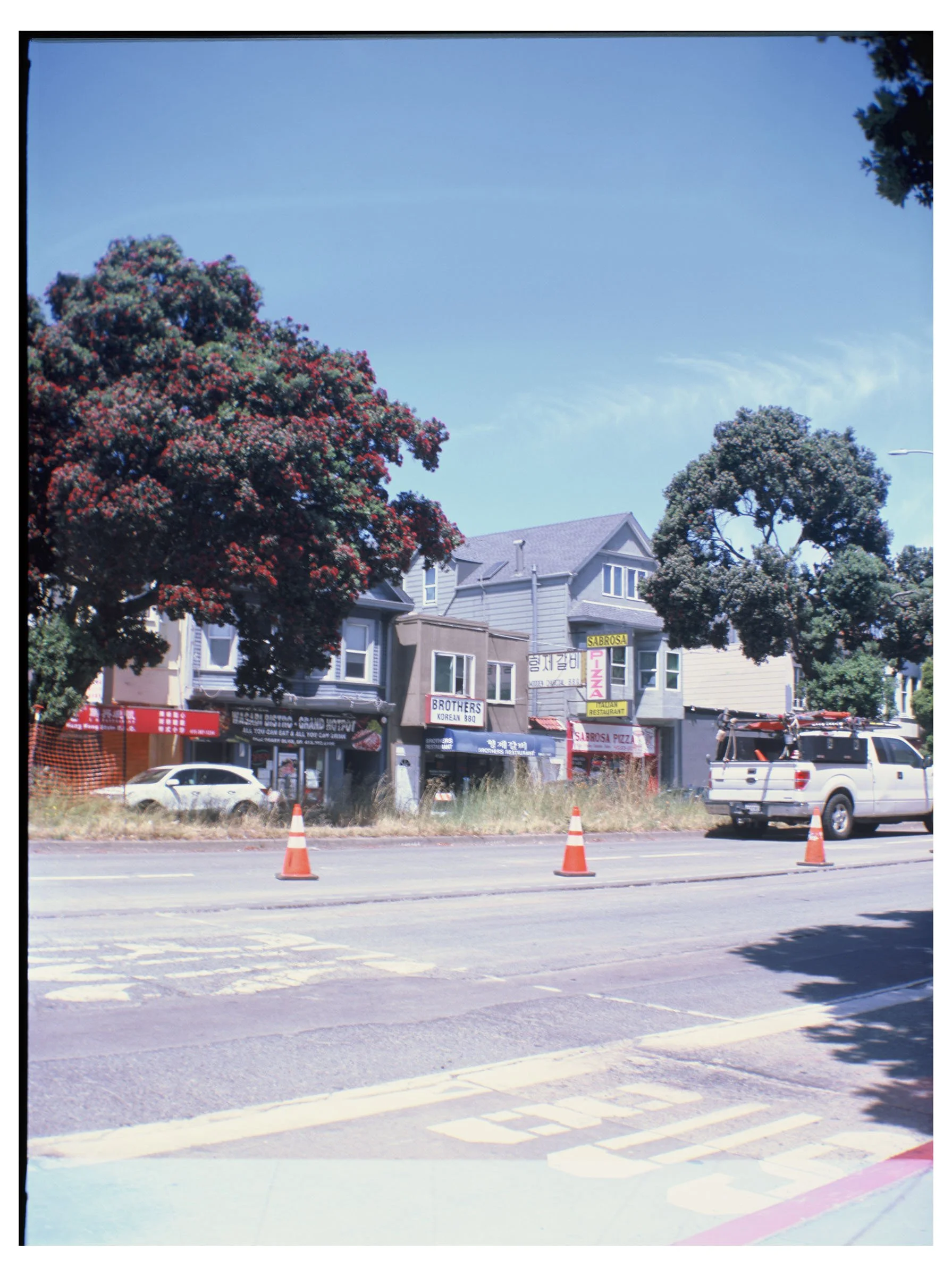  5.20.26 Golden Gate Park, Duboce Park & Around SF  