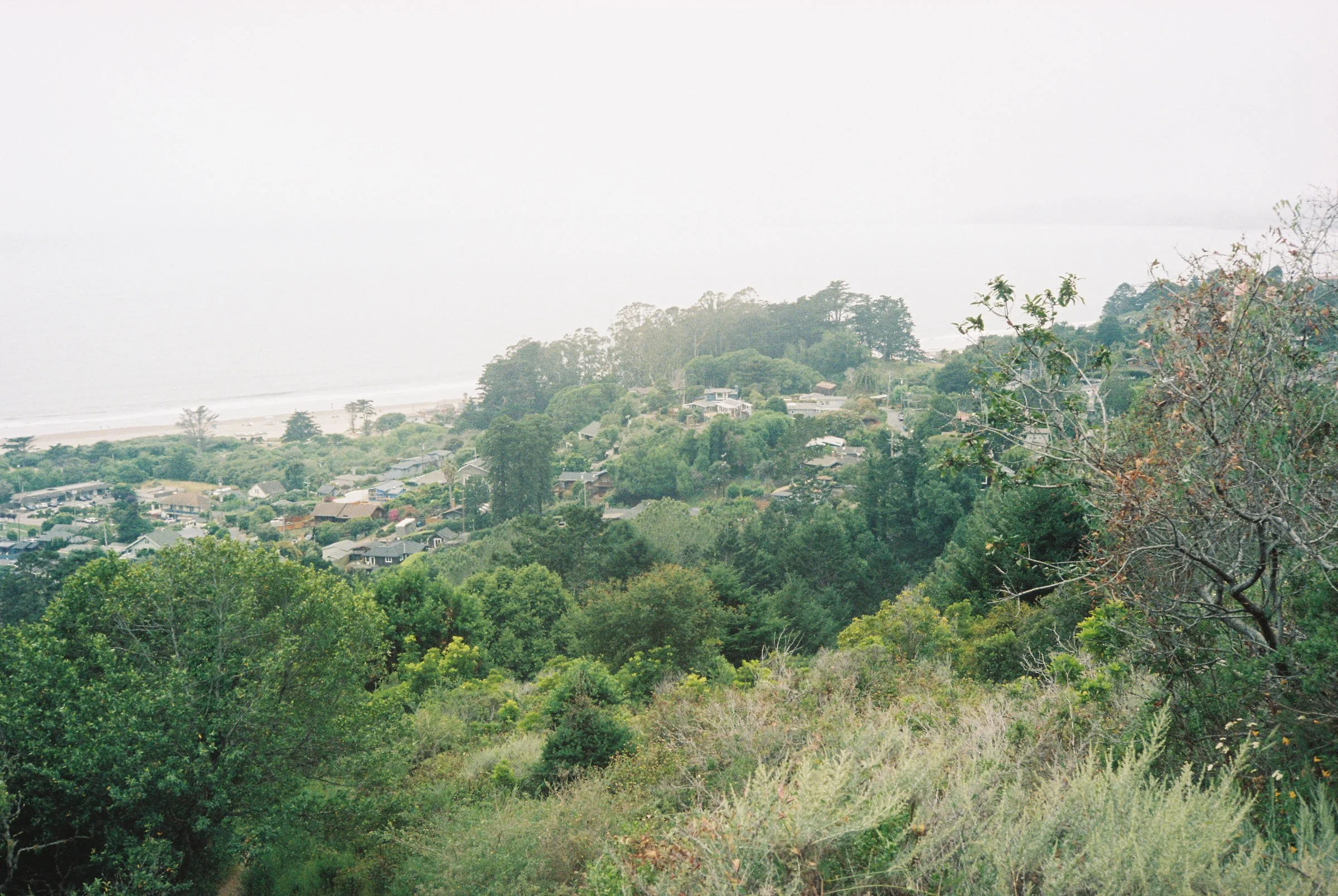 korygariel004038-R1-022.jpg