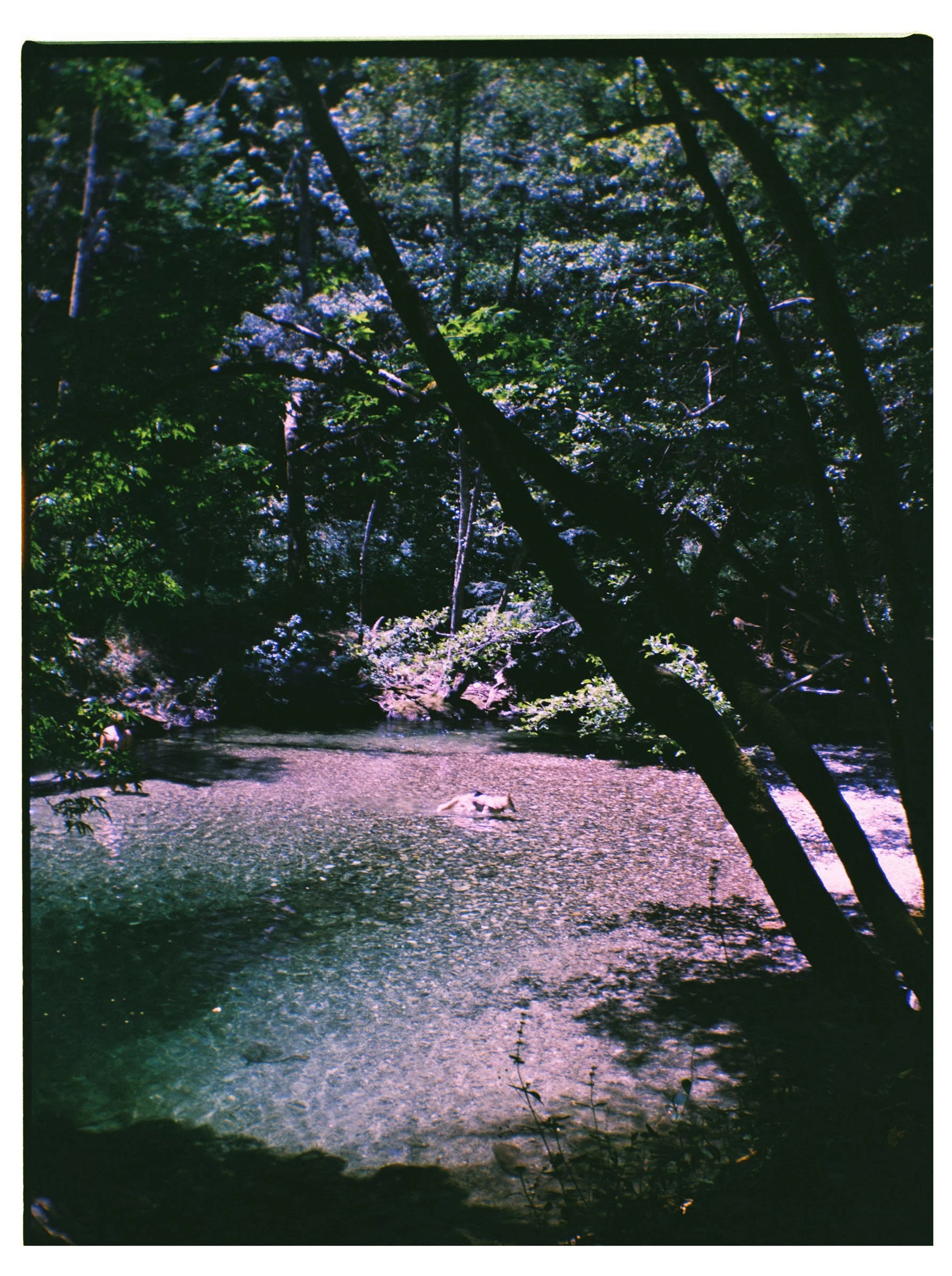 korygabrie004035-R1-003.jpg