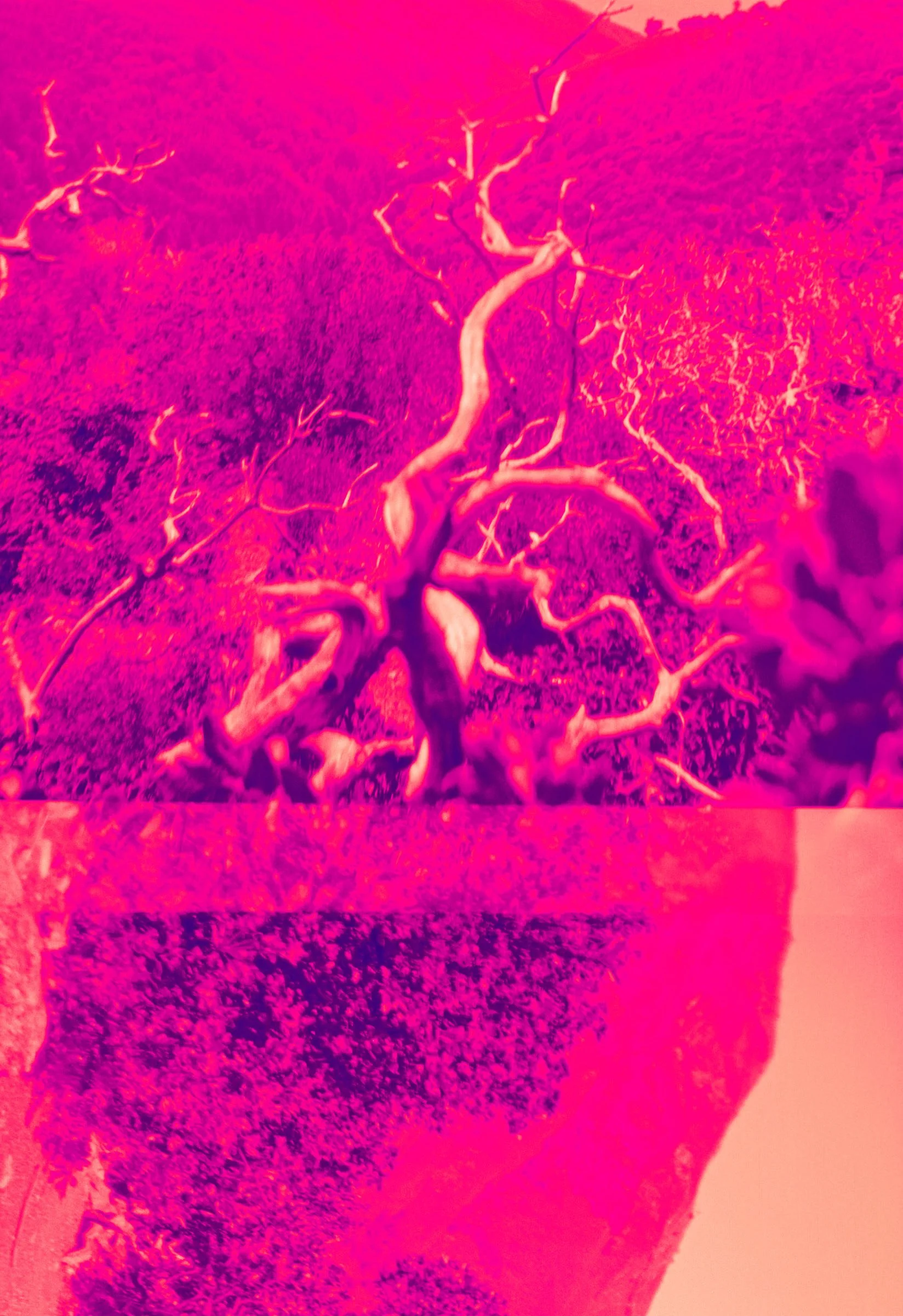 000040400001.jpg