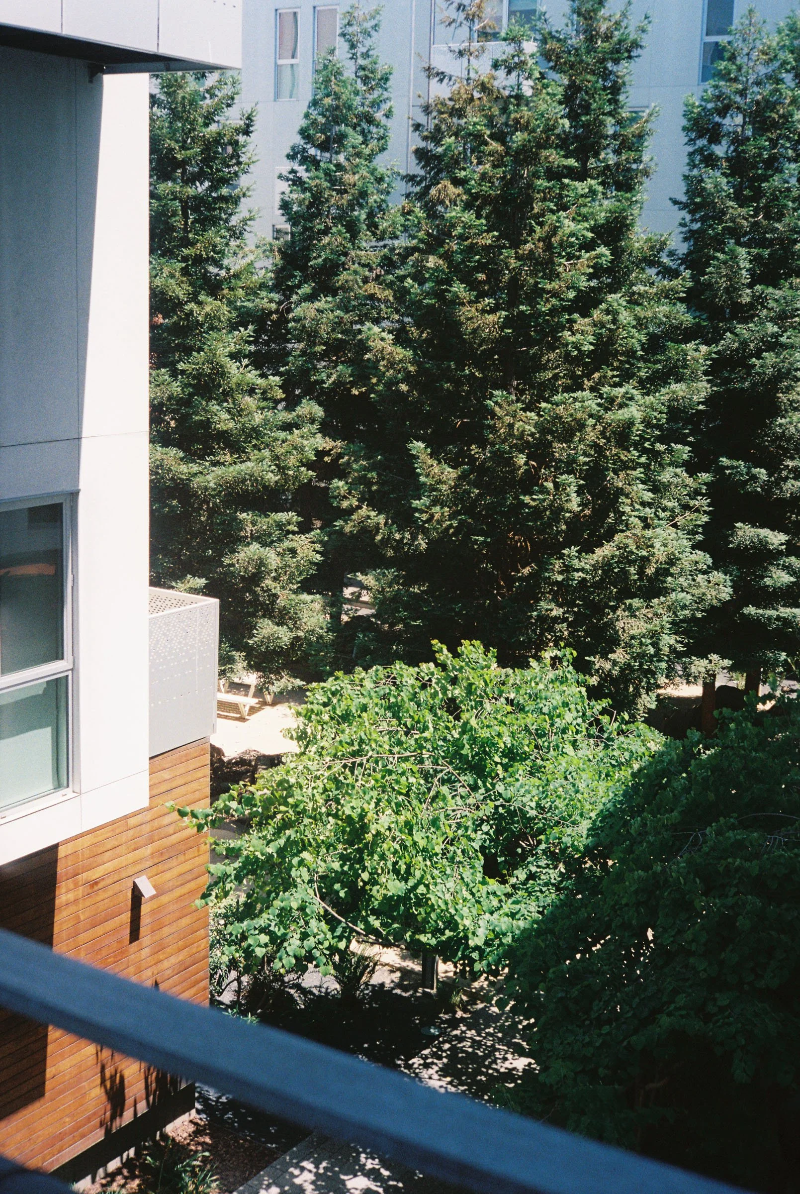 korygariel004039-R1-033.jpg