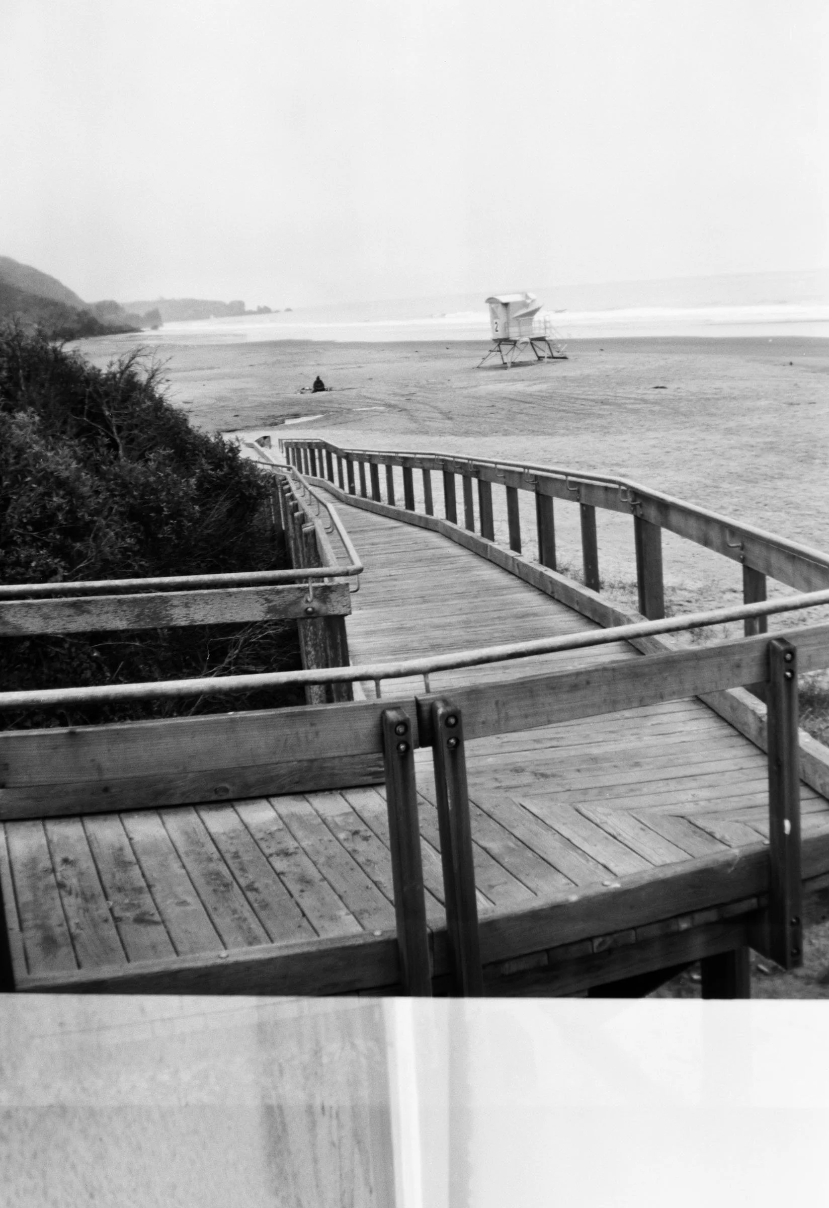  5.20–5.22.26 The Wharf, The Beach, & The Forest  