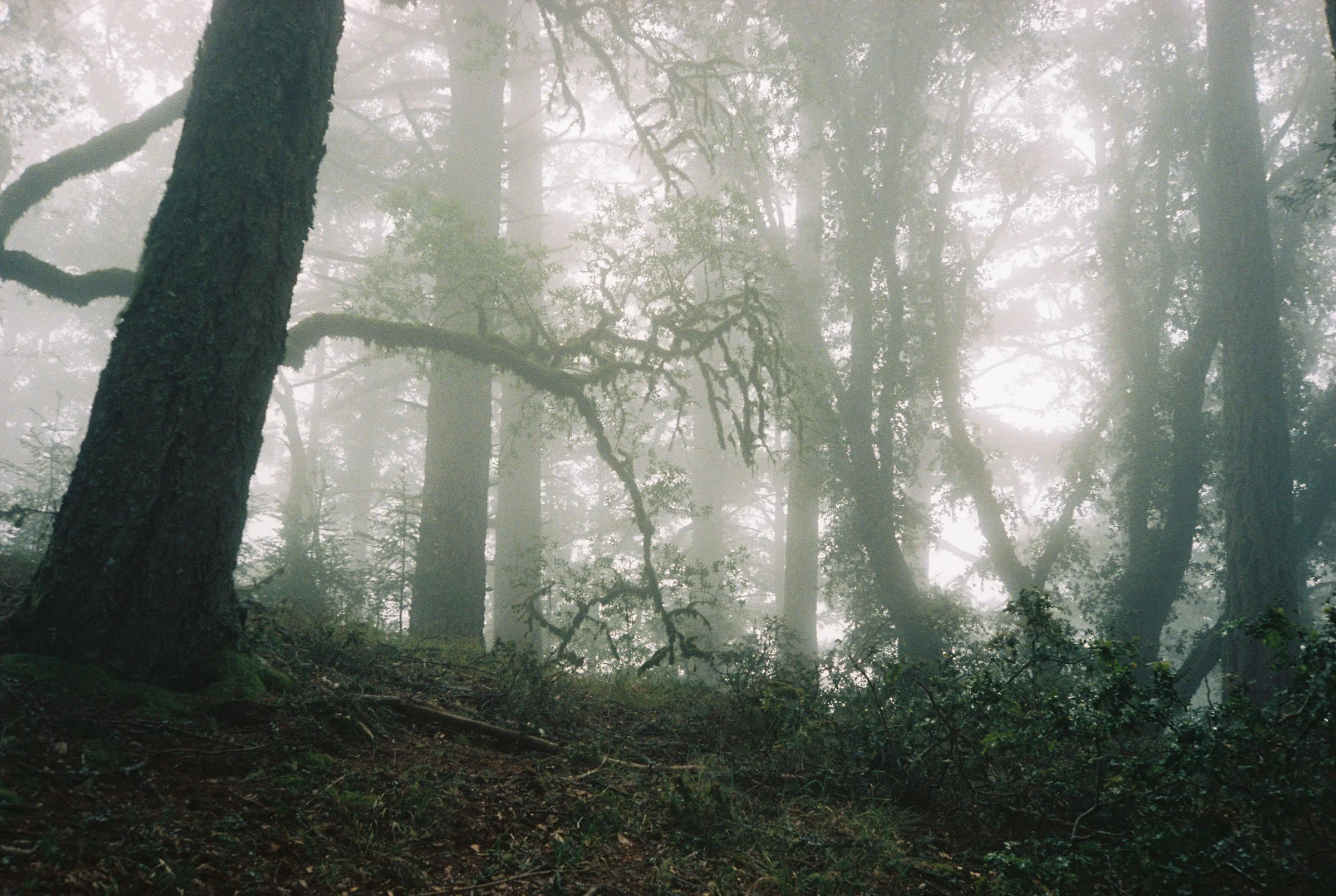 korygariel004038-R1-014.jpg