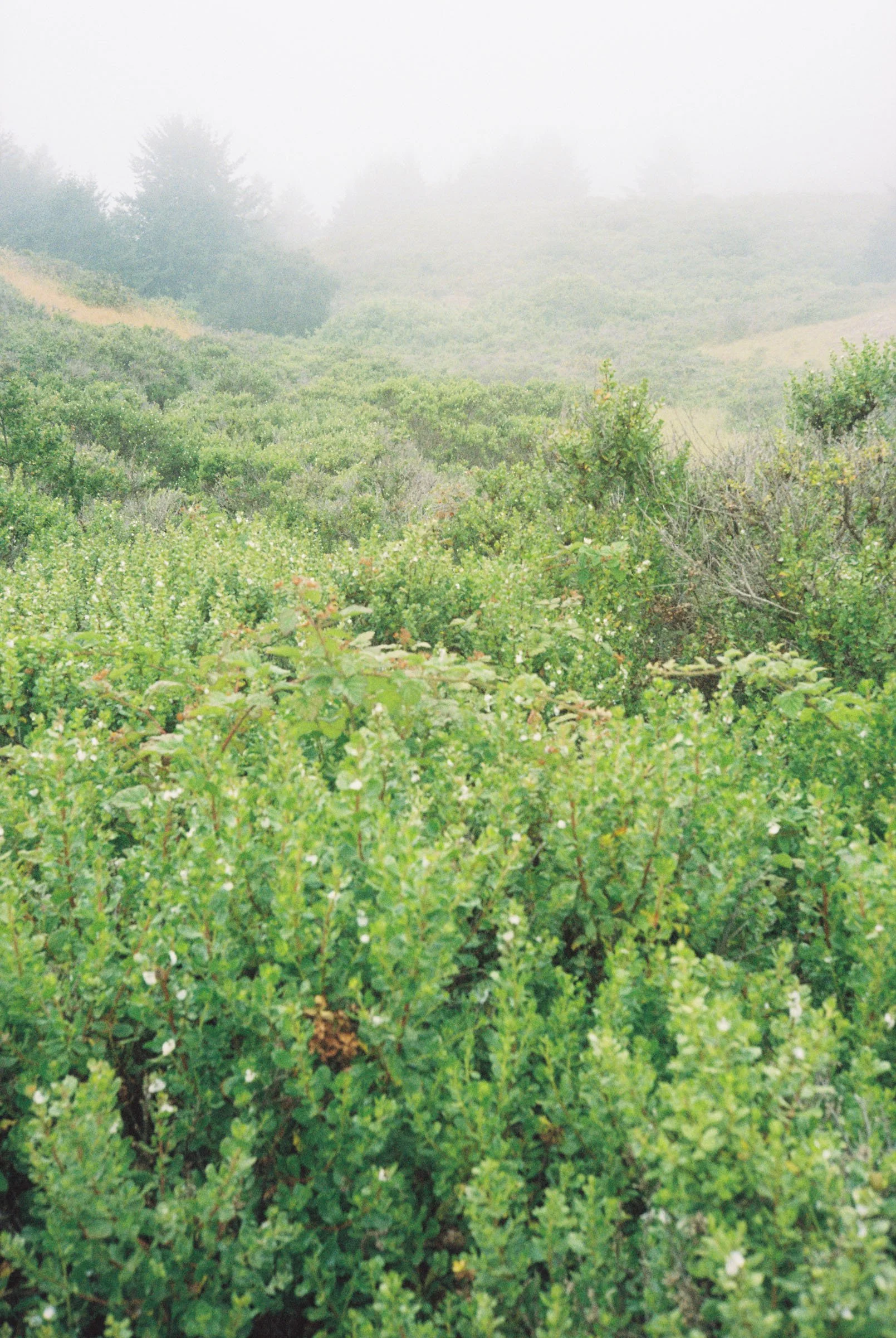 korygariel004038-R1-004.jpg
