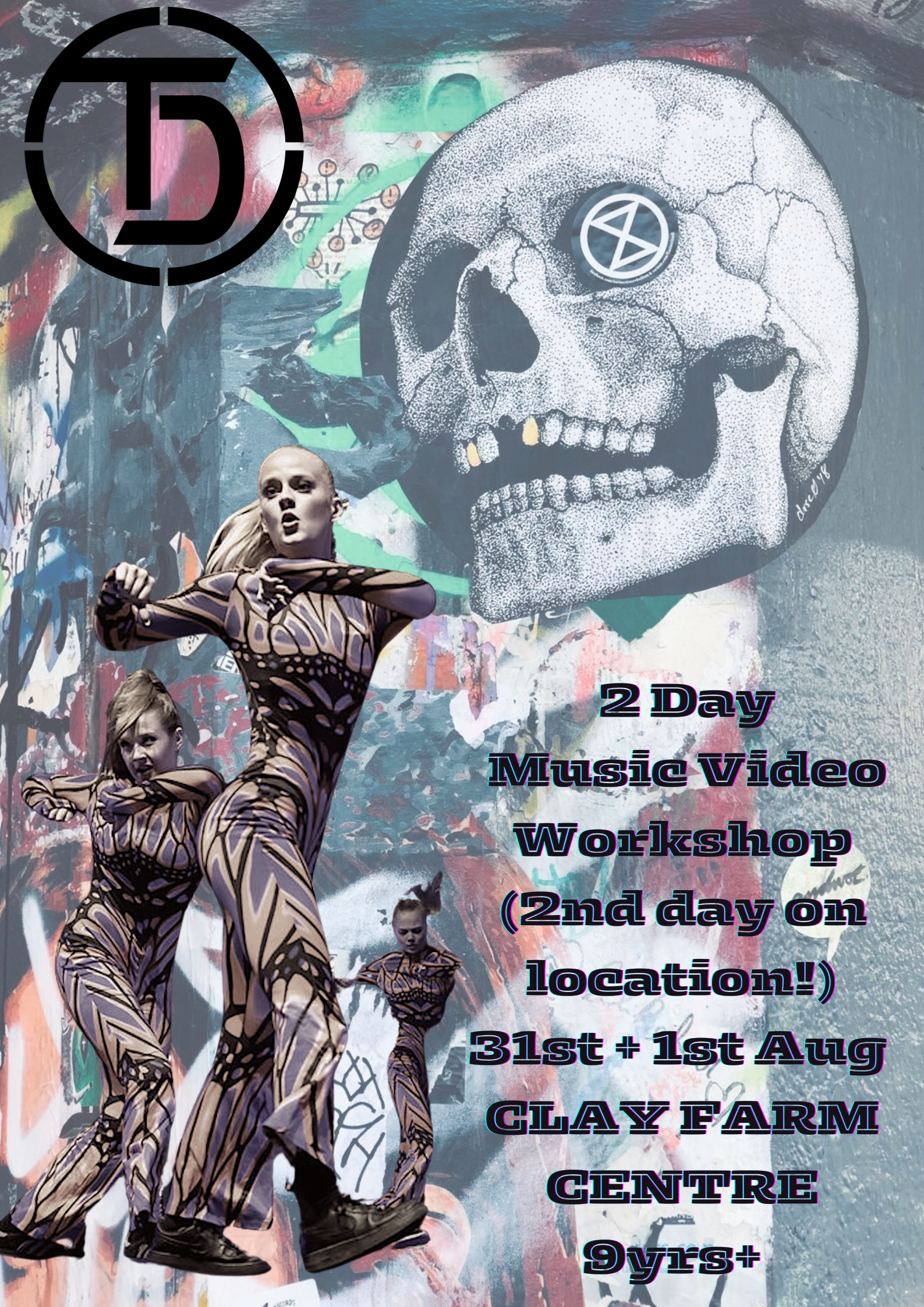 Two Day Music Video Workshop