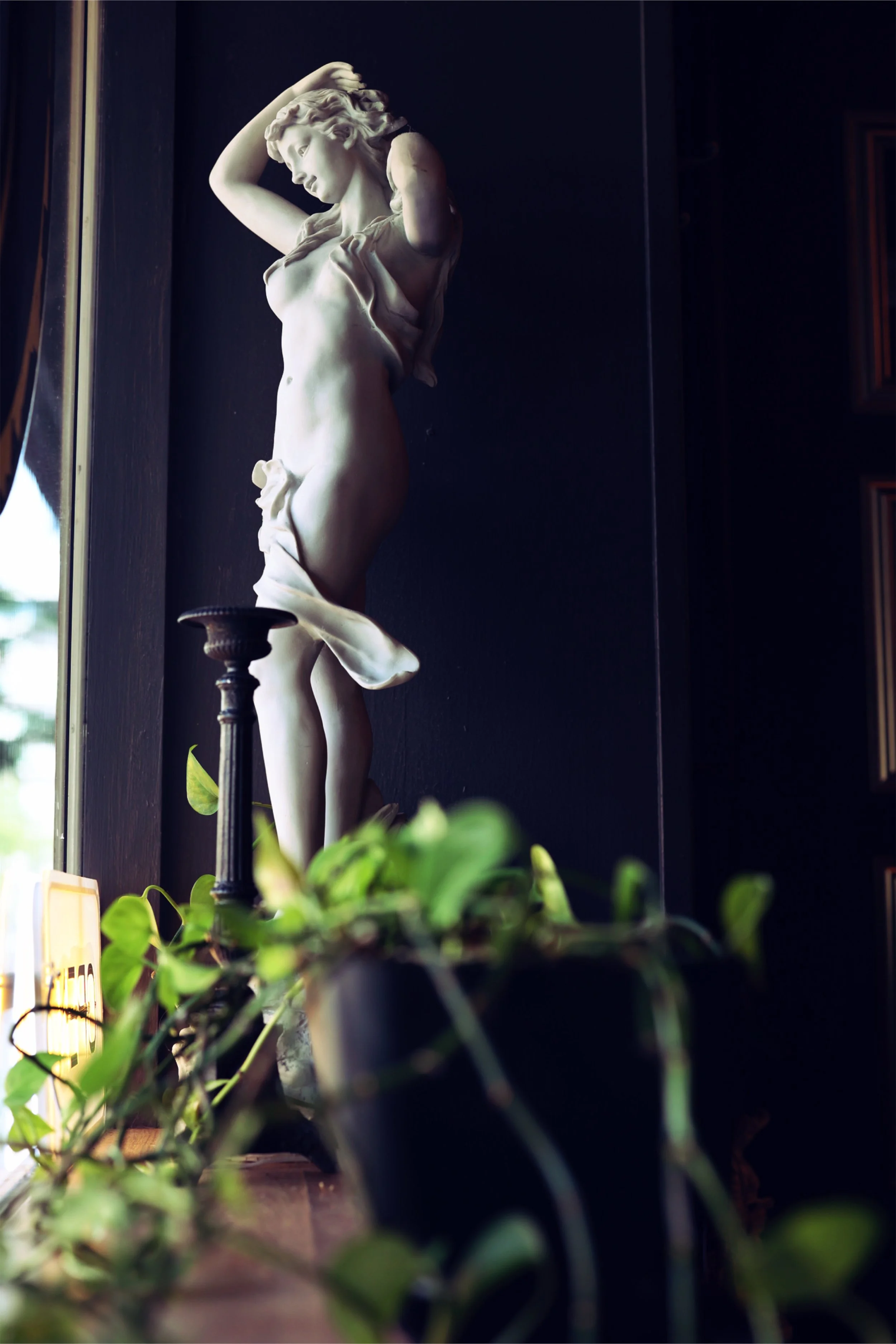 Live green thriving plants spill over the window sills around towering Greek statues of stone giving details of life and vitality to the luxury Boise tattoo studio experience offered at Chariot. 