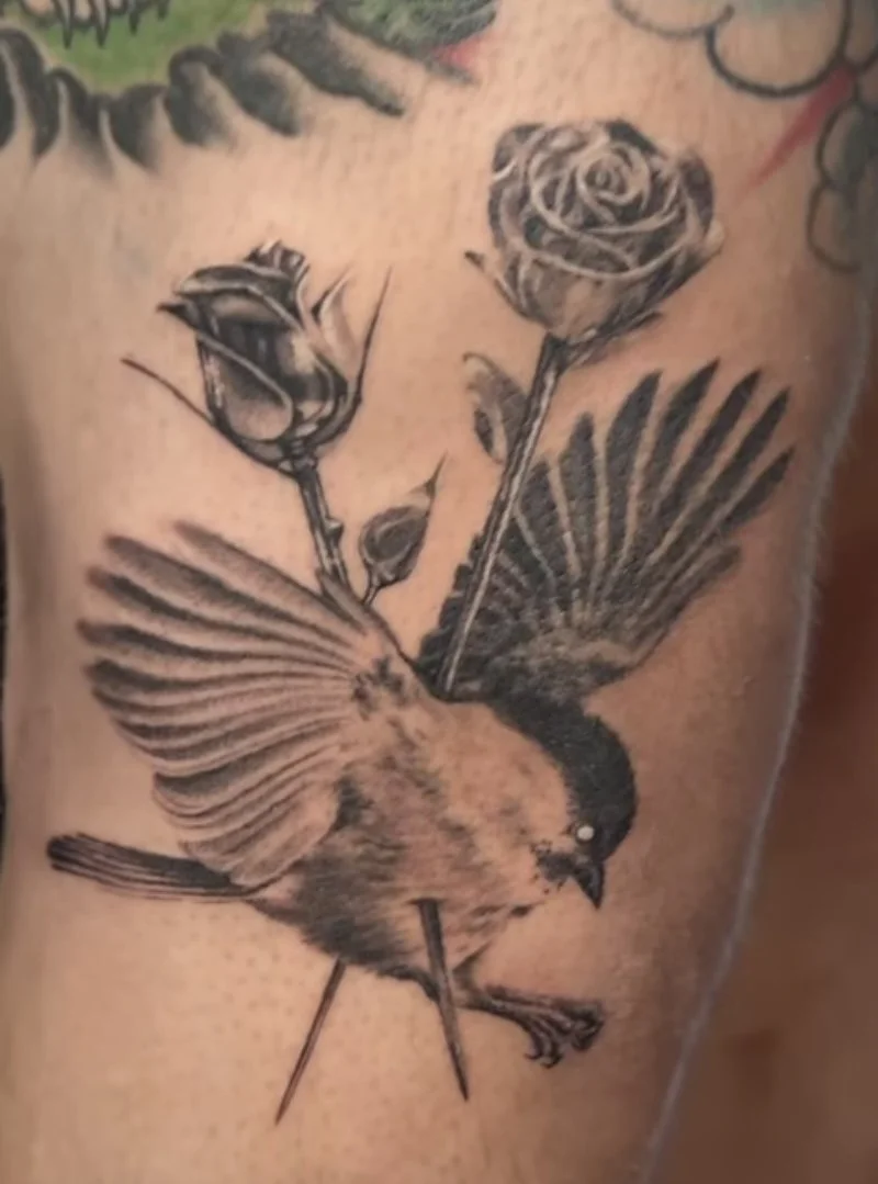 Black and gray tattoo of a bird pierced by two roses on a person's arm in a clean and simple unique style. 
