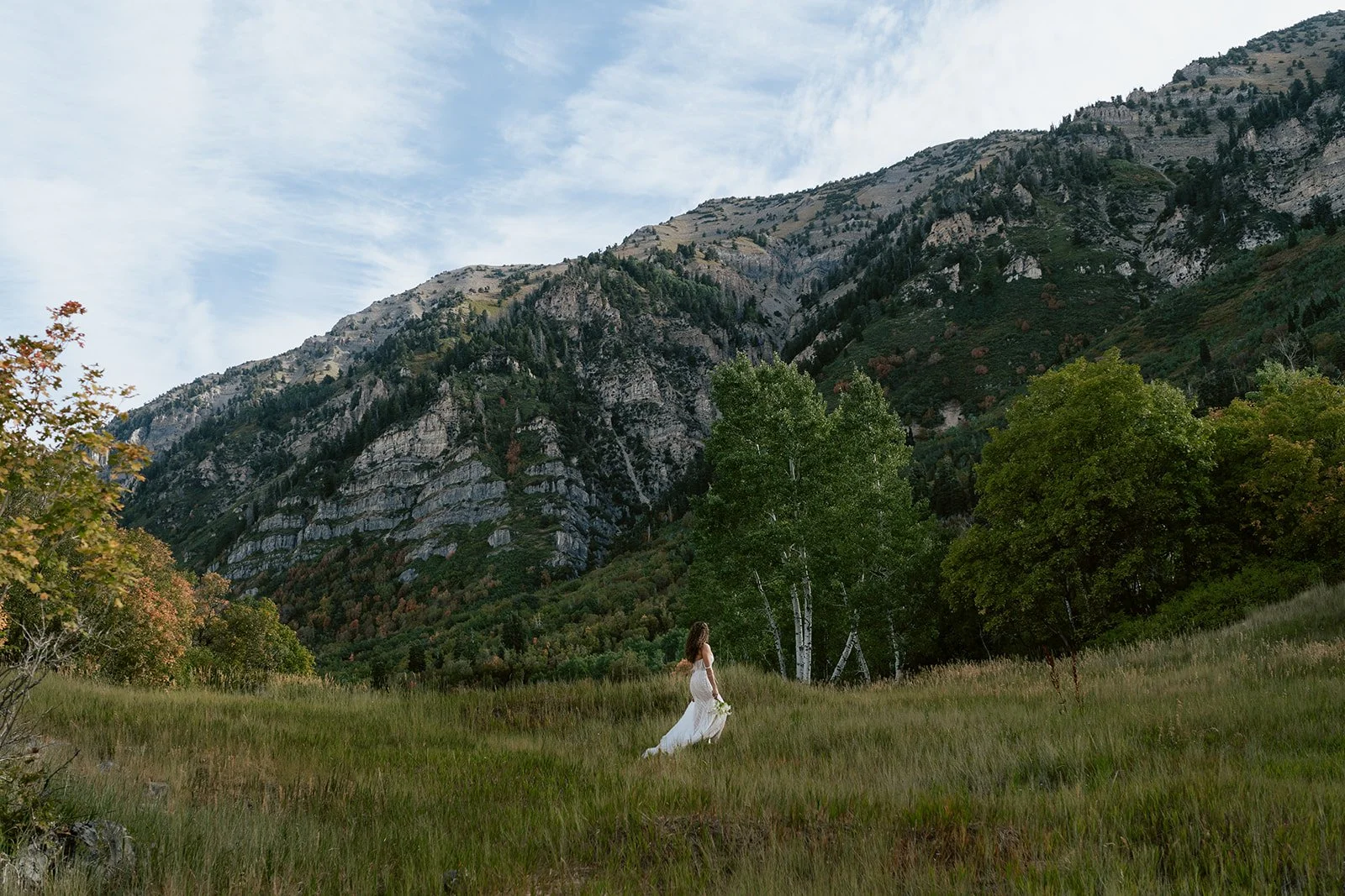 a bride wearing a beaded wedding gown in a sunlit meadow. Photography by Poise and Ivy Imagery