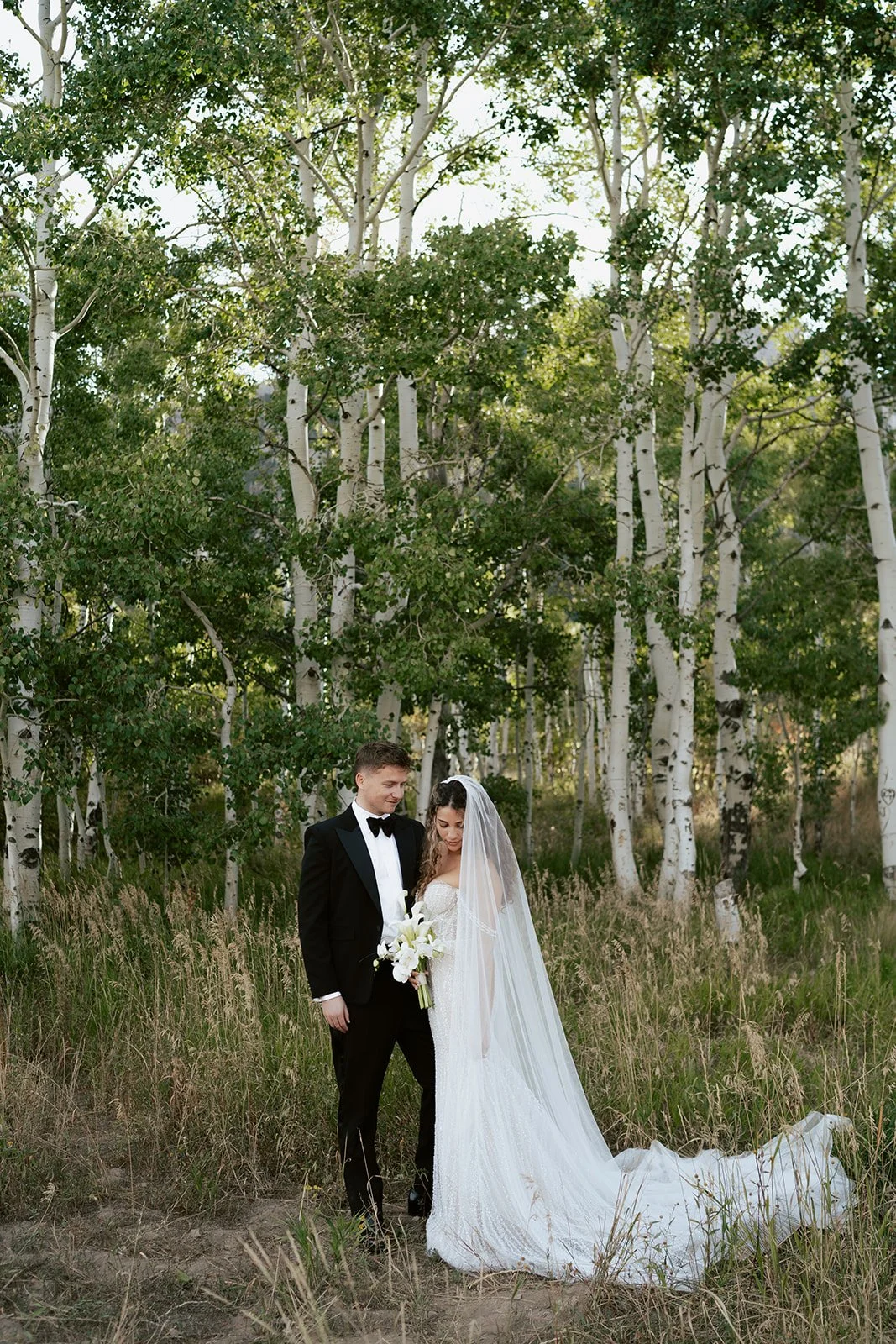 a bride and a groom stand together in a lush aspen grove. the bride wears a beaded wedding gown with a bridal veil and the groom wears a tuxedo. Photography by Poise and Ivy Imagery