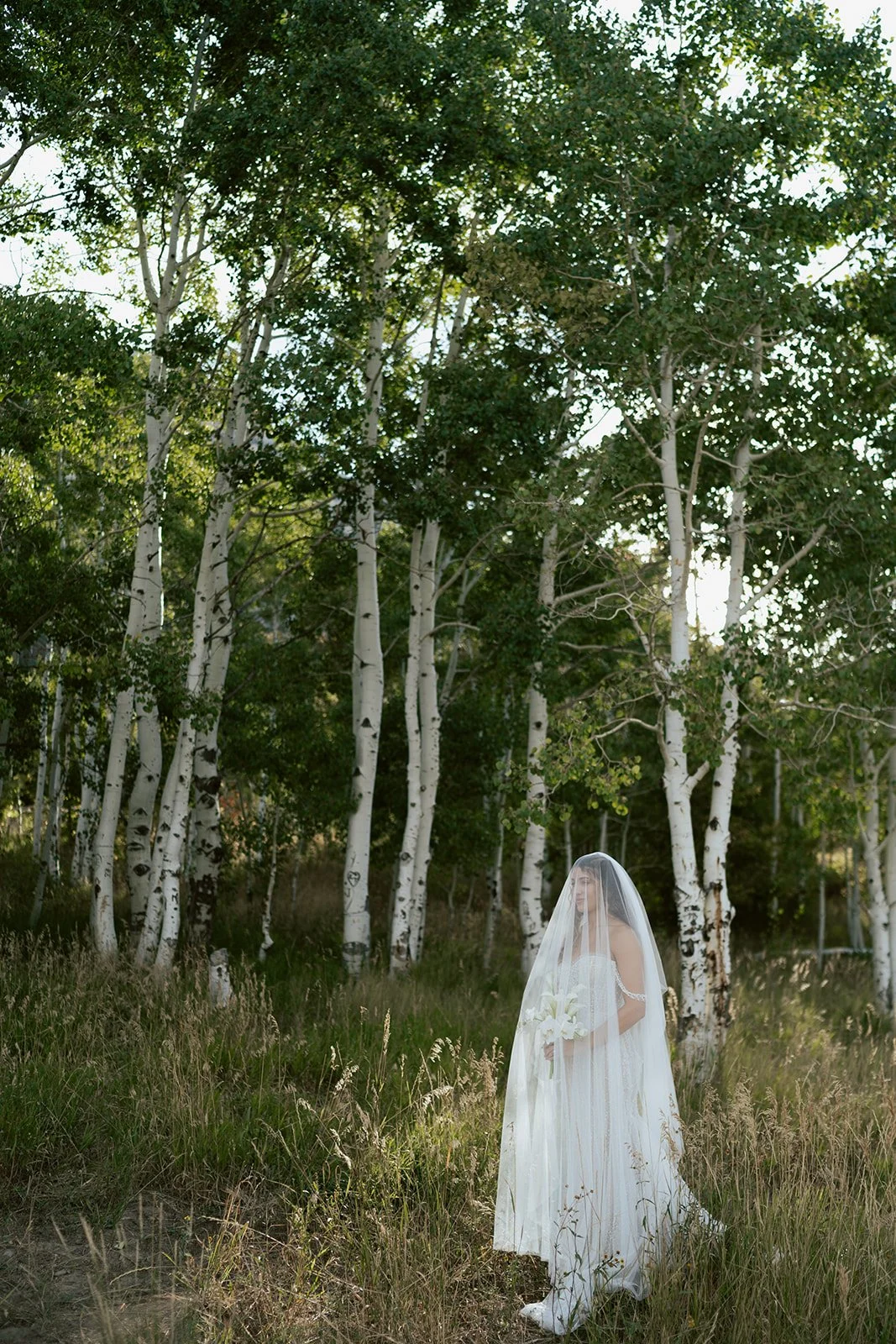 a bride stands in a lush aspen grove under her long wedding veil holding a bridal bouquet of calla lilies and wearing a white beaded gown. photography by Poise and Ivy Imagery