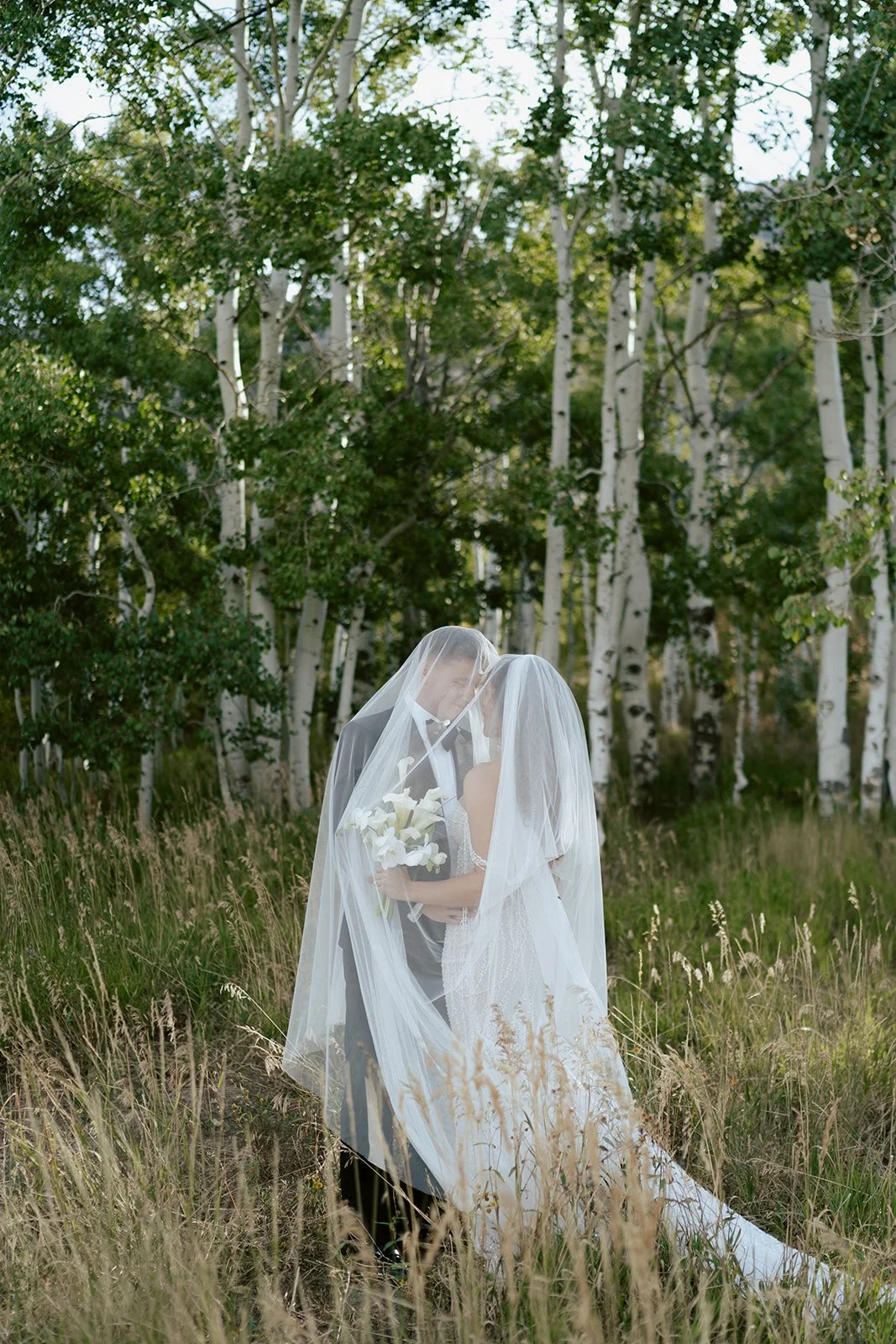 a bride and a groom stand together under a long bridal veil in a lush aspen grove. the bride wears a beaded wedding gown and the groom wears a tuxedo. Photography by Poise and Ivy Imagery