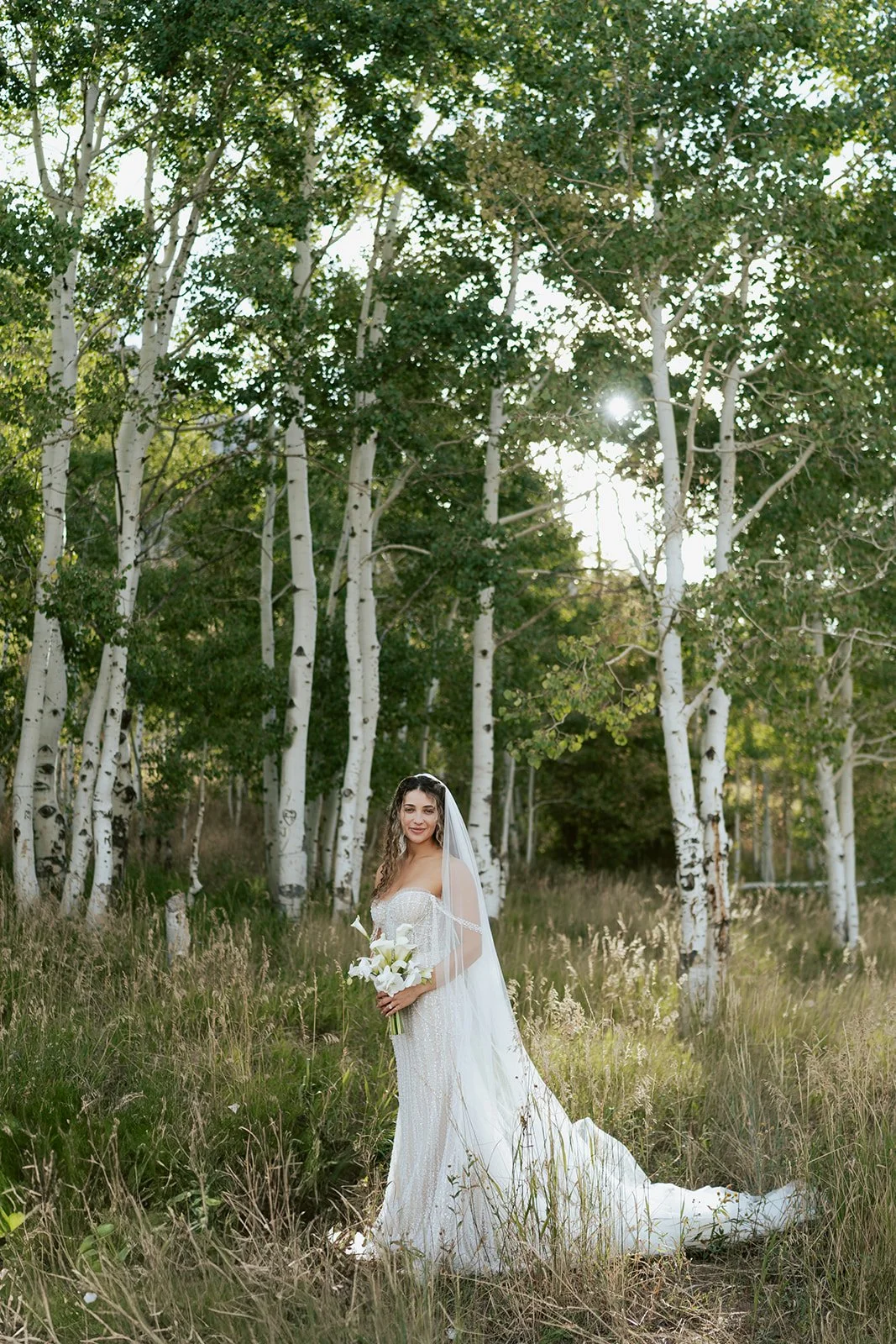 a bride in a beaded wedding gown stands in a lush grove of aspen trees. photography by poise and ivy imagery