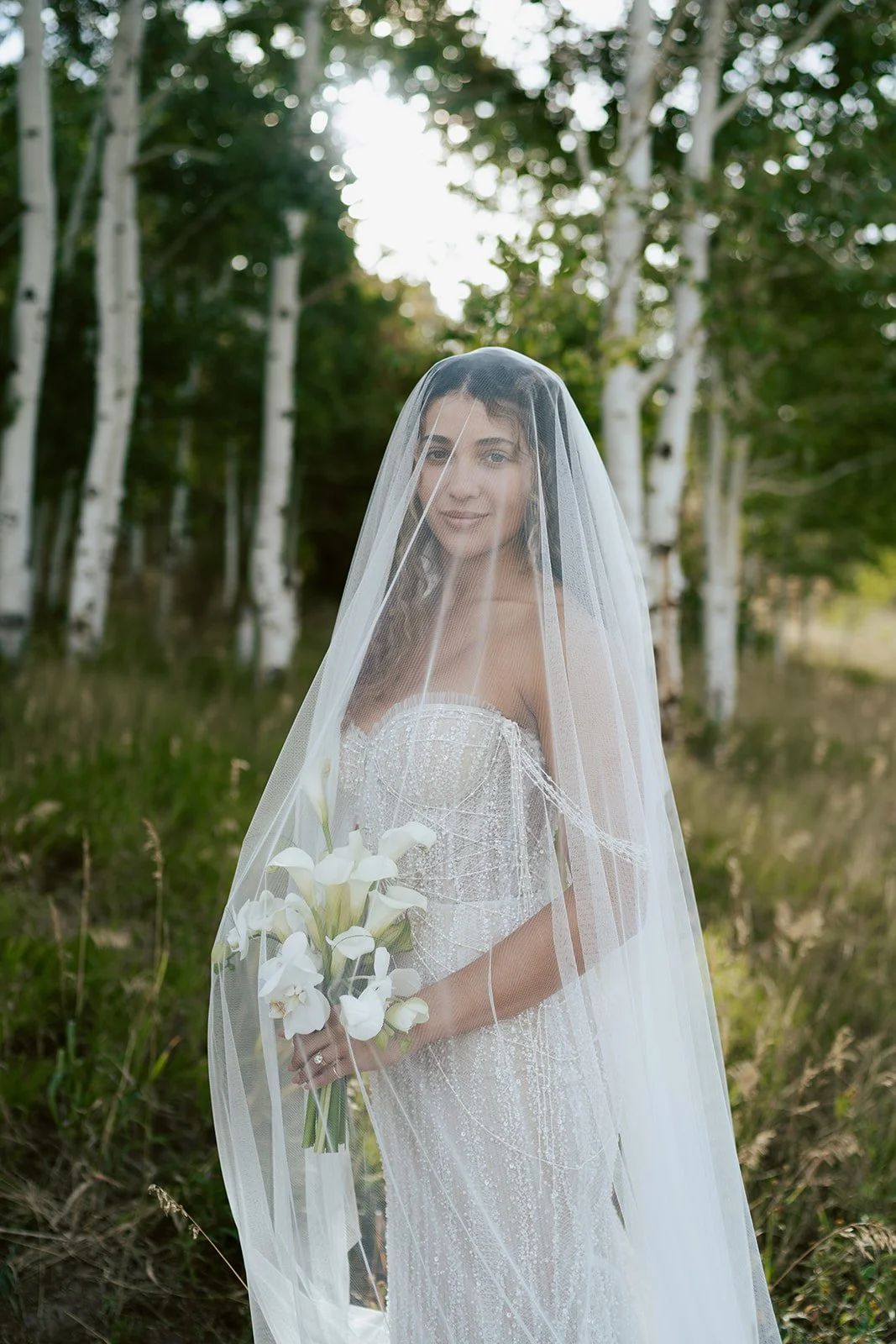 a bride stands in a lush aspen grove under her long wedding veil holding a bridal bouquet of calla lilies and wearing a white beaded gown. photography by Poise and Ivy Imagery