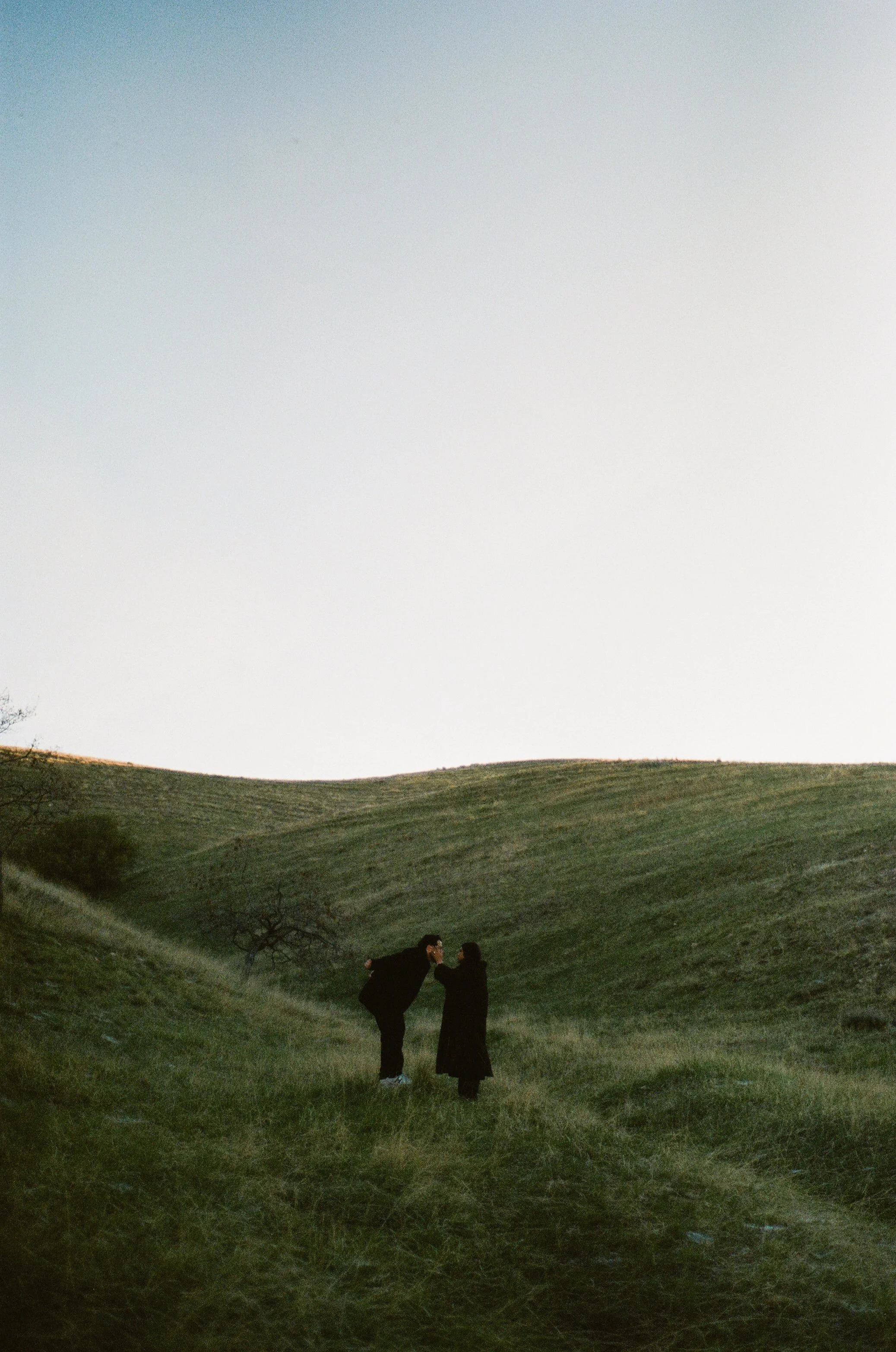 A couple stands together in a softly lit grassy field, photographed on color negative film by Poise and Ivy Imagery