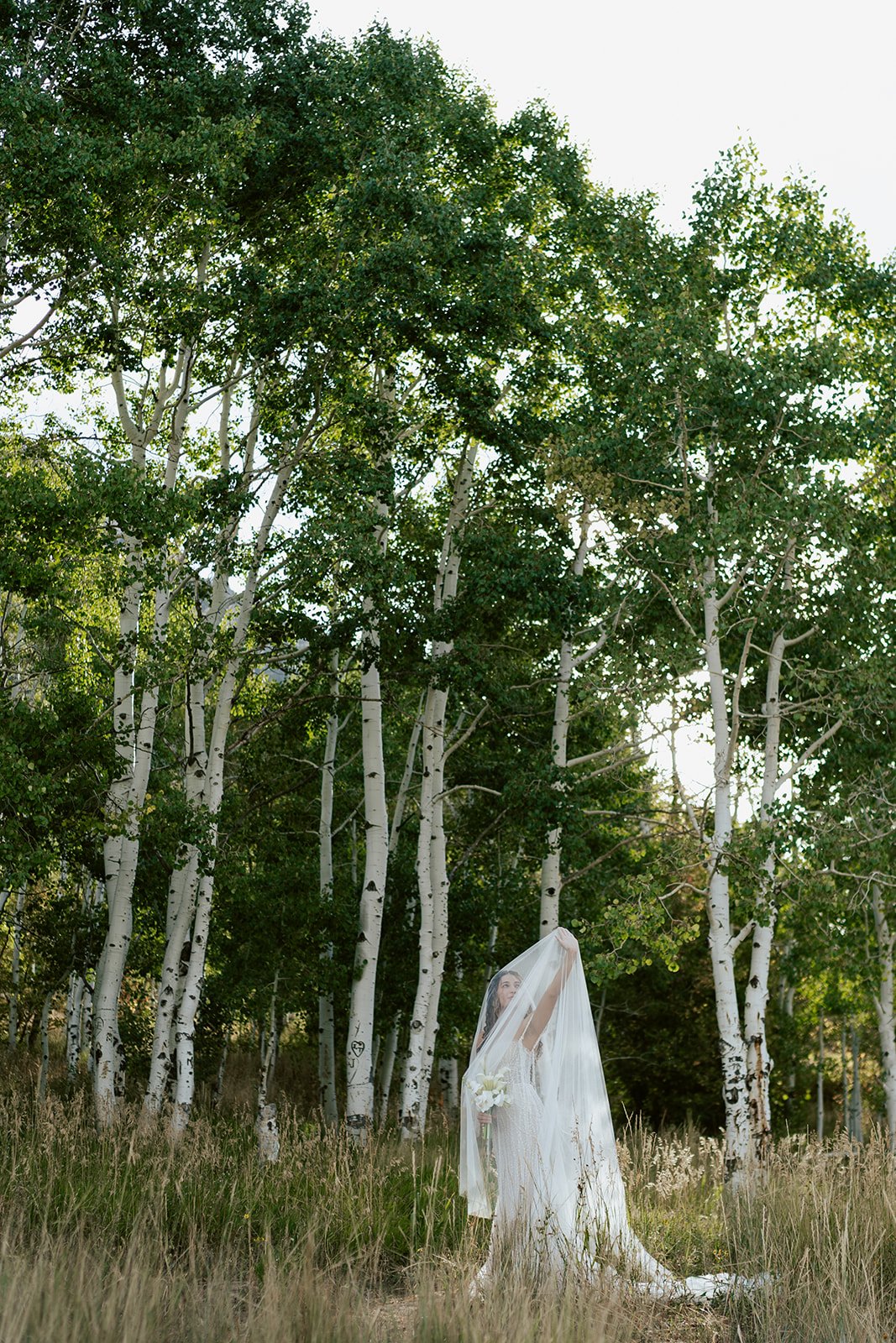 a bride stands in a lush aspen grove under her long wedding veil holding a bridal bouquet of calla lilies and wearing a white beaded gown. photography by Poise and Ivy Imagery