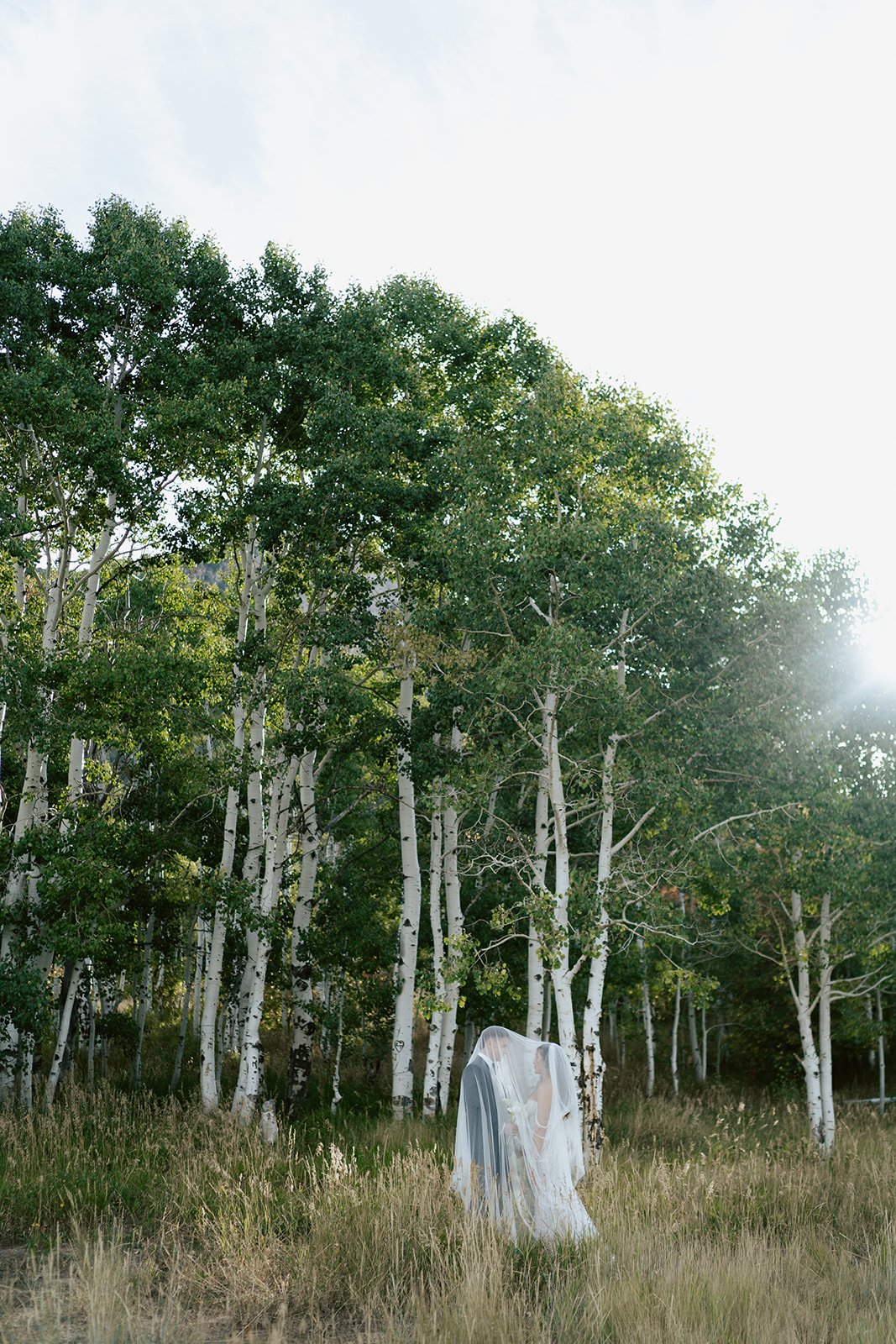 a bride and a groom stand together under a long bridal veil in a lush aspen grove. the bride wears a beaded wedding gown and the groom wears a tuxedo. Photography by Poise and Ivy Imagery