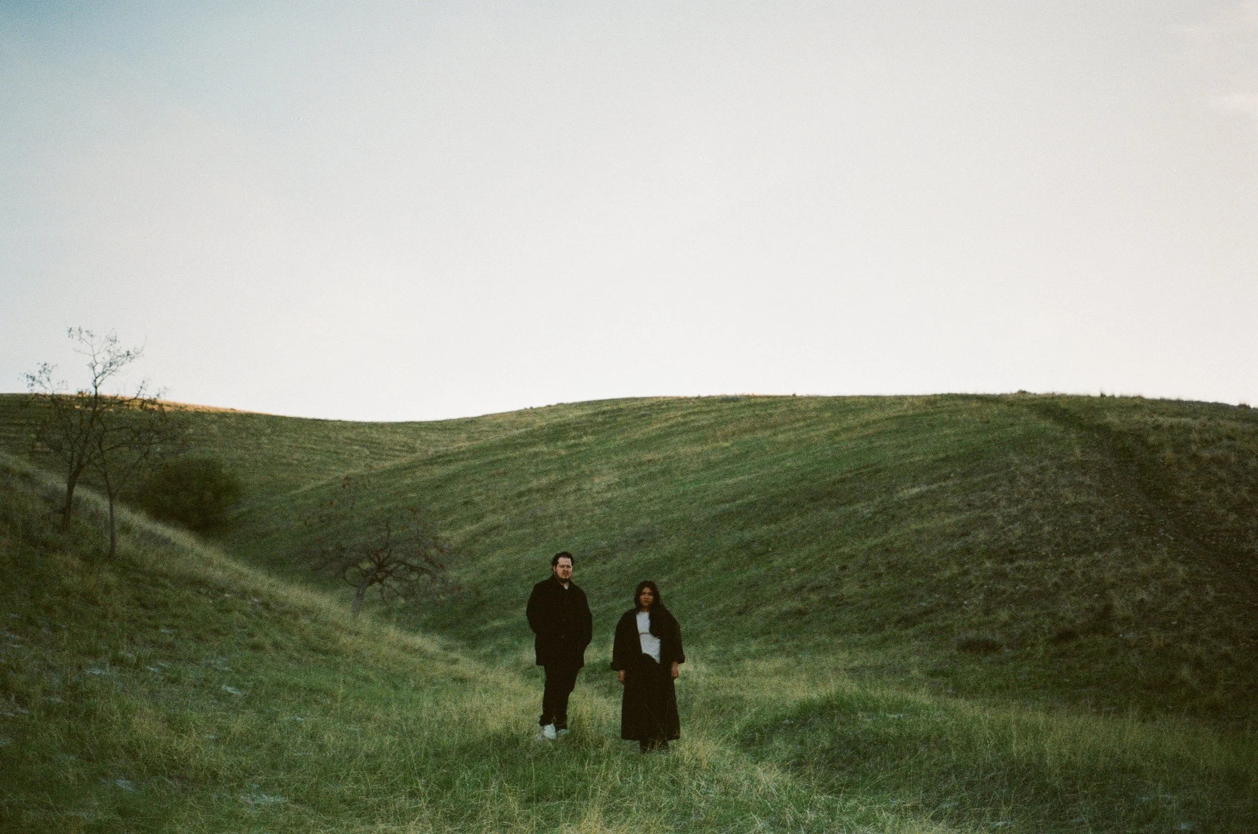 A couple stands together in a softly lit grassy field, photographed on color negative film by Poise and Ivy Imagery