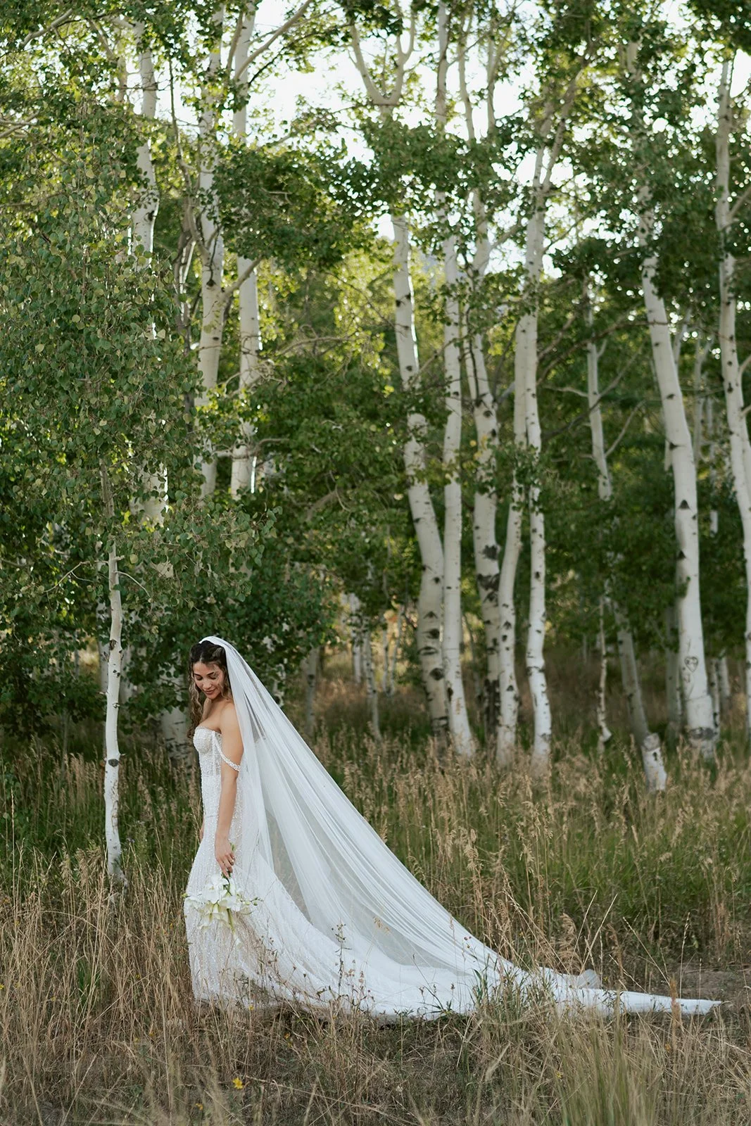 a bride in a beaded wedding gown stands in a lush grove of aspen trees. photography by poise and ivy imagery