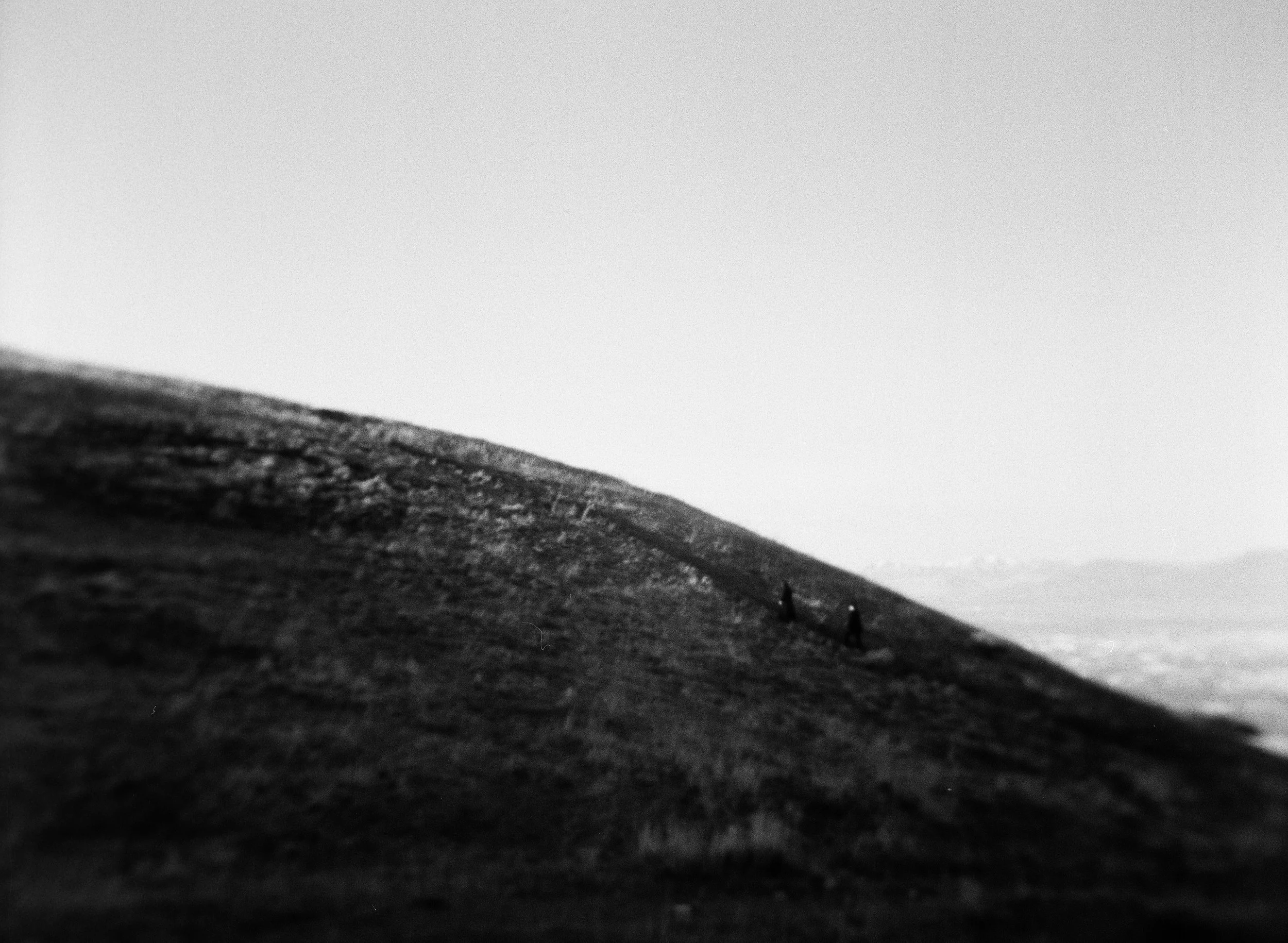 A couple stands together in a softly lit grassy field on black and white medium format film - photography by Poise and Ivy Imagery