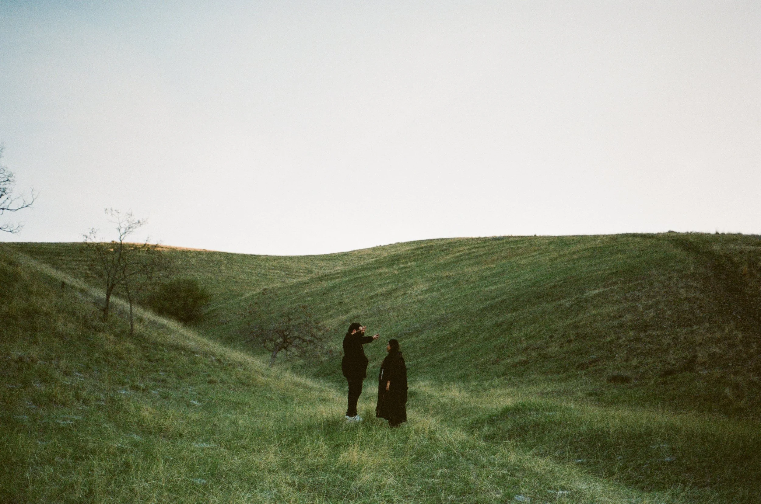 A couple stands together in a softly lit grassy field, photographed on color negative film by Poise and Ivy Imagery