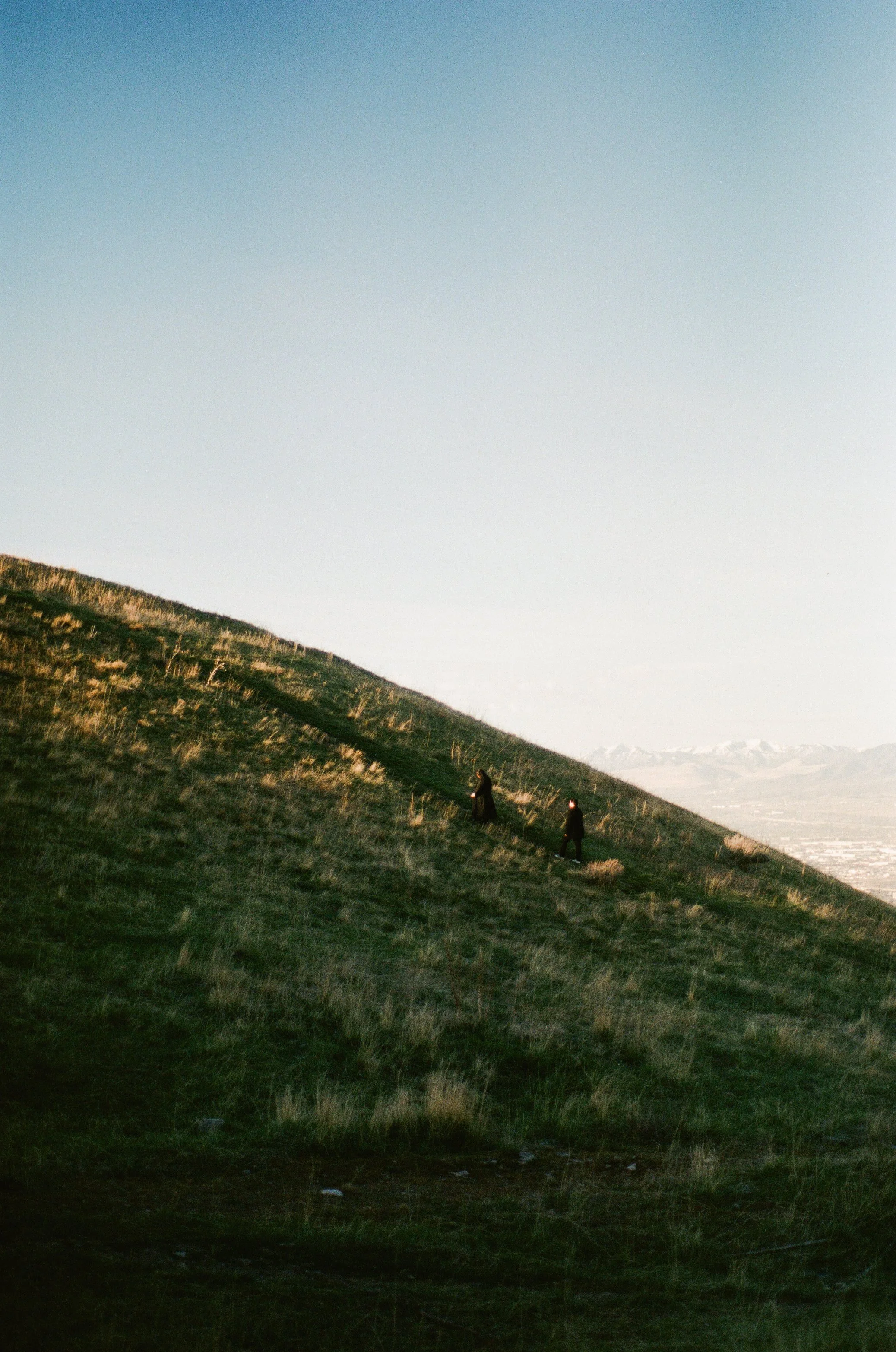 A couple stands together in a softly lit grassy field, photographed on color negative film by Poise and Ivy Imagery
