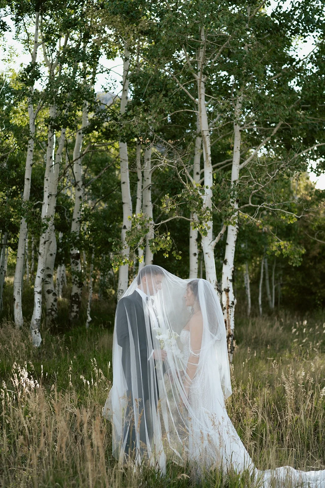 a bride and a groom walk together in a lush aspen grove. the bride wears a beaded wedding gown with a bridal veil and the groom wears a tuxedo. Photography by Poise and Ivy Imagery