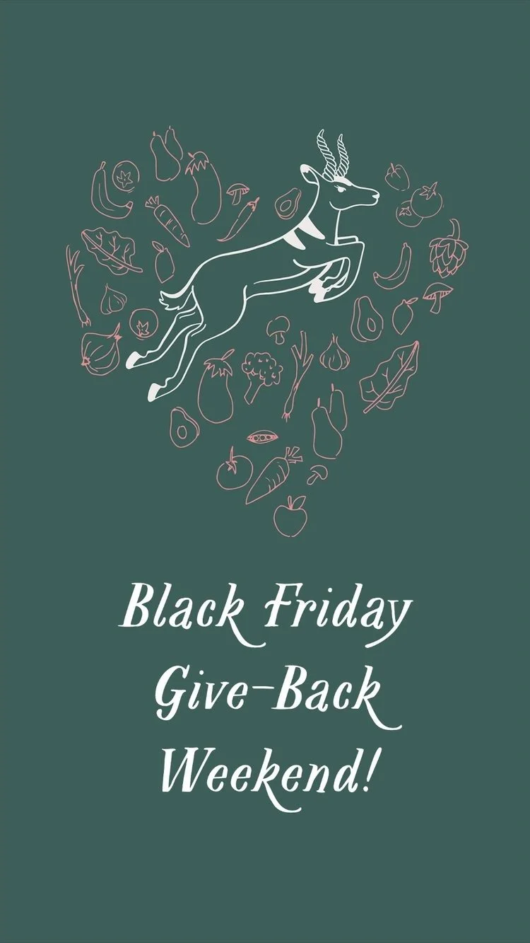 My project-1 (4).jpeg