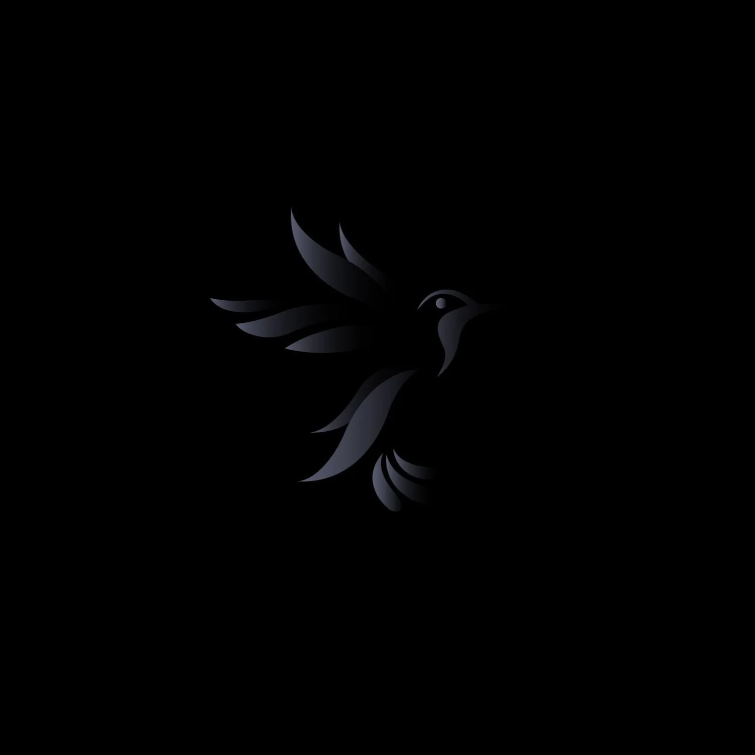 BlackConcept-Bird.jpg