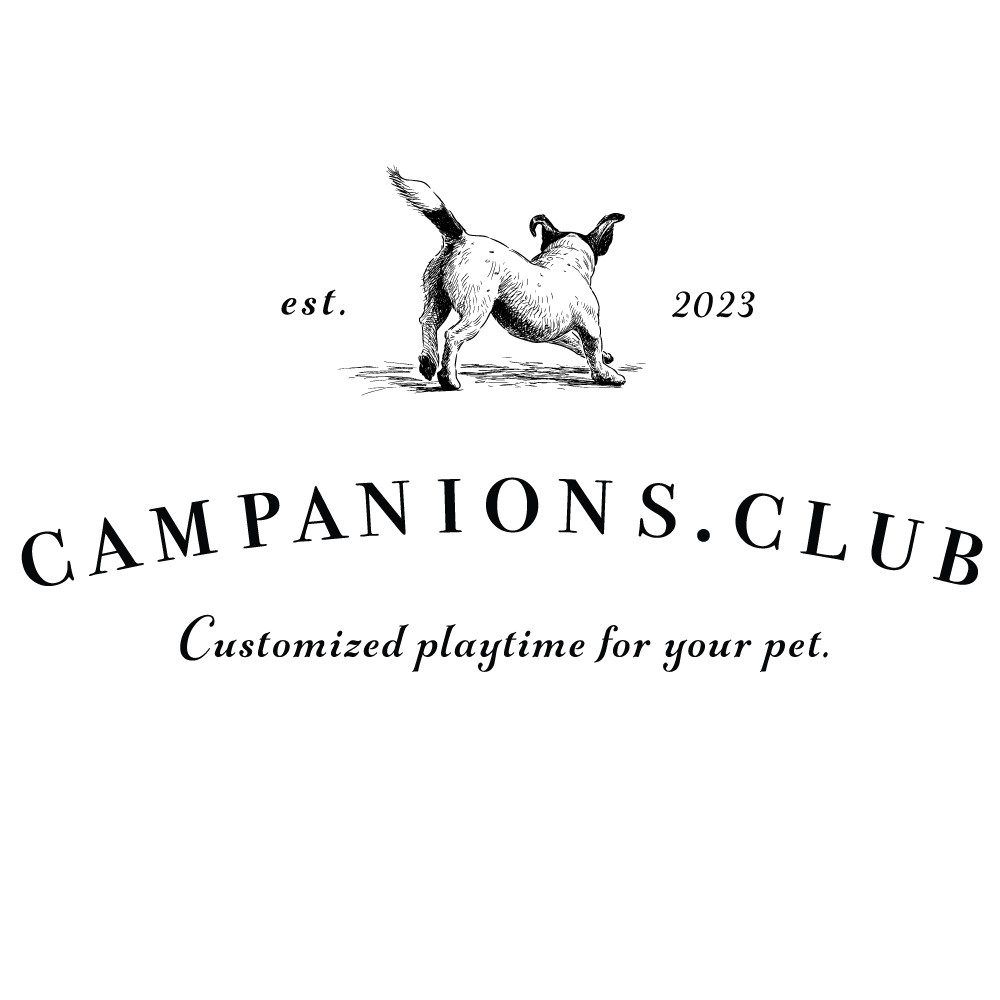 Companions Club Brand Design