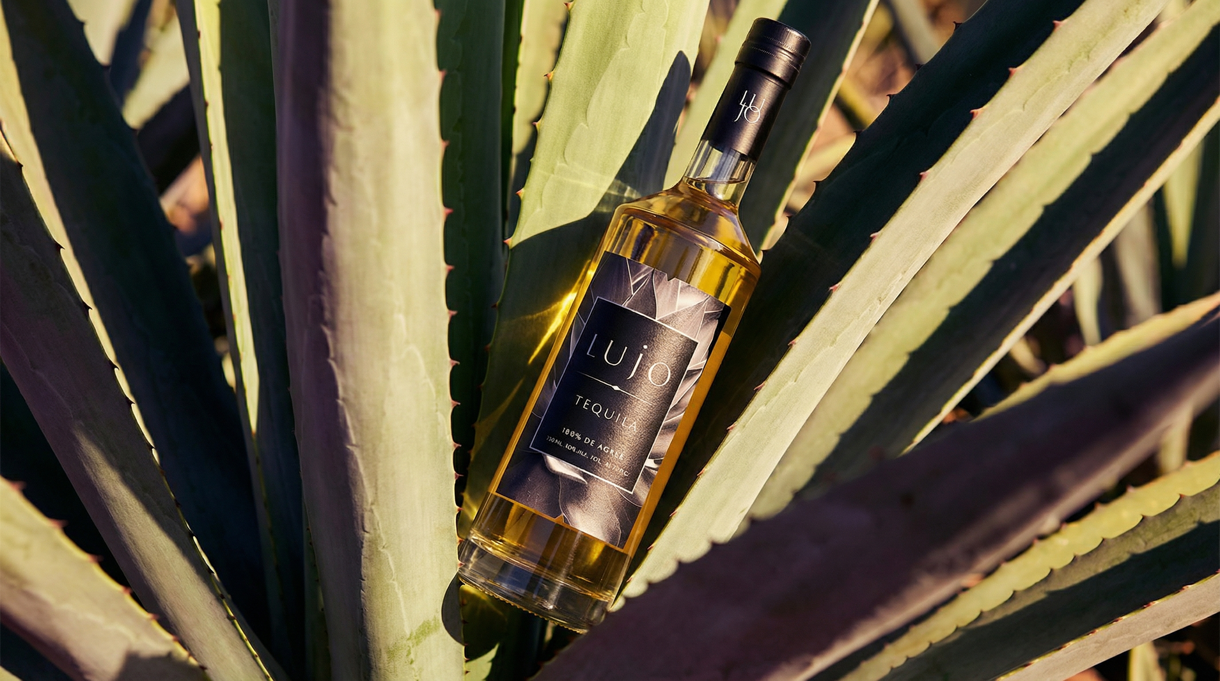 LUJO BRAND TEQUILA | Brand Identity & Label Design