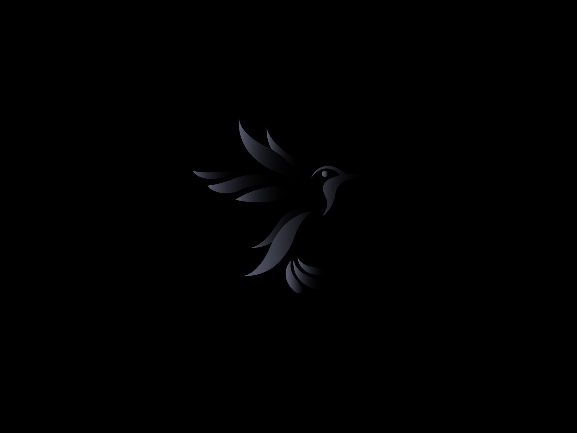 BlackConcept-Bird.jpg