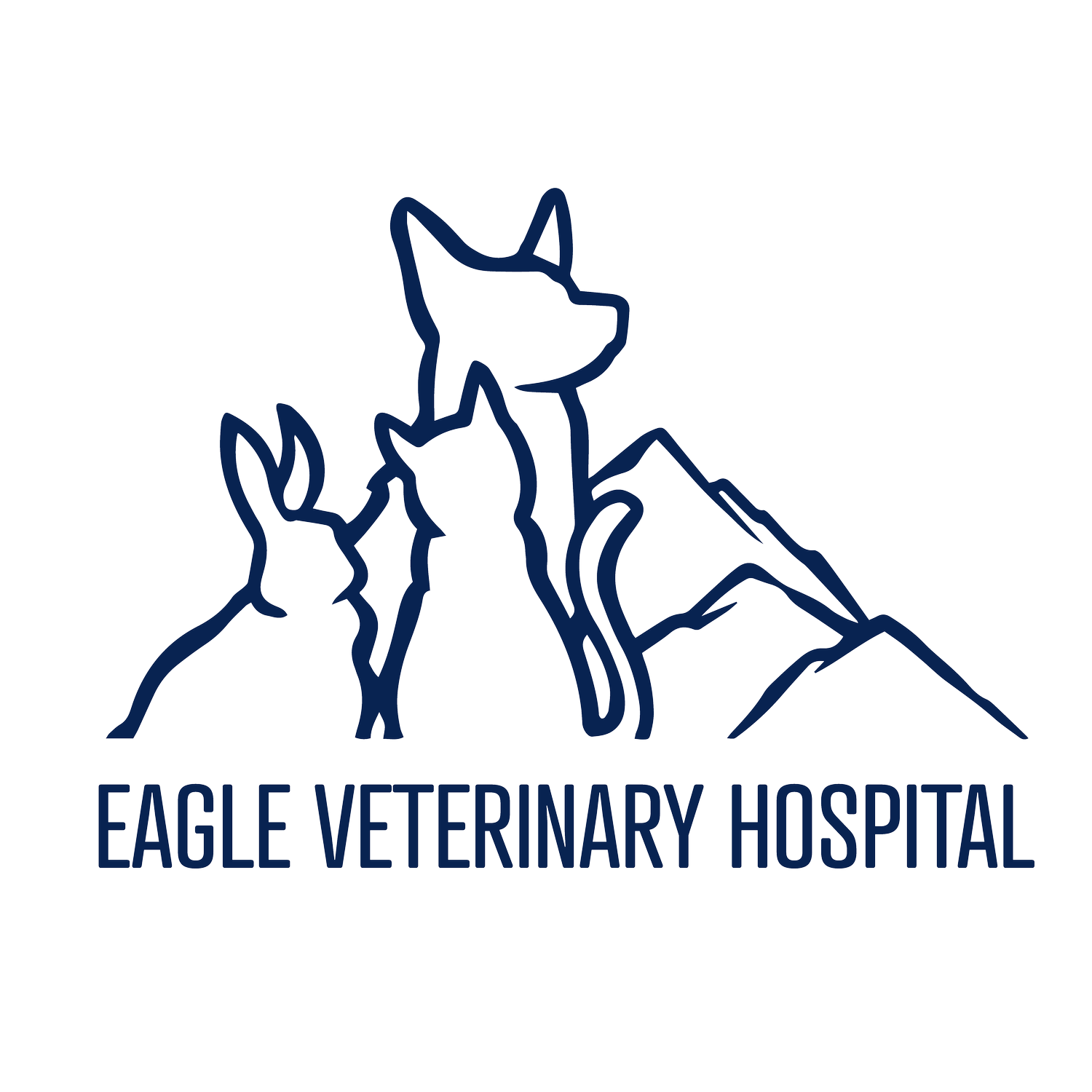 Eagle Veterinary Hospital