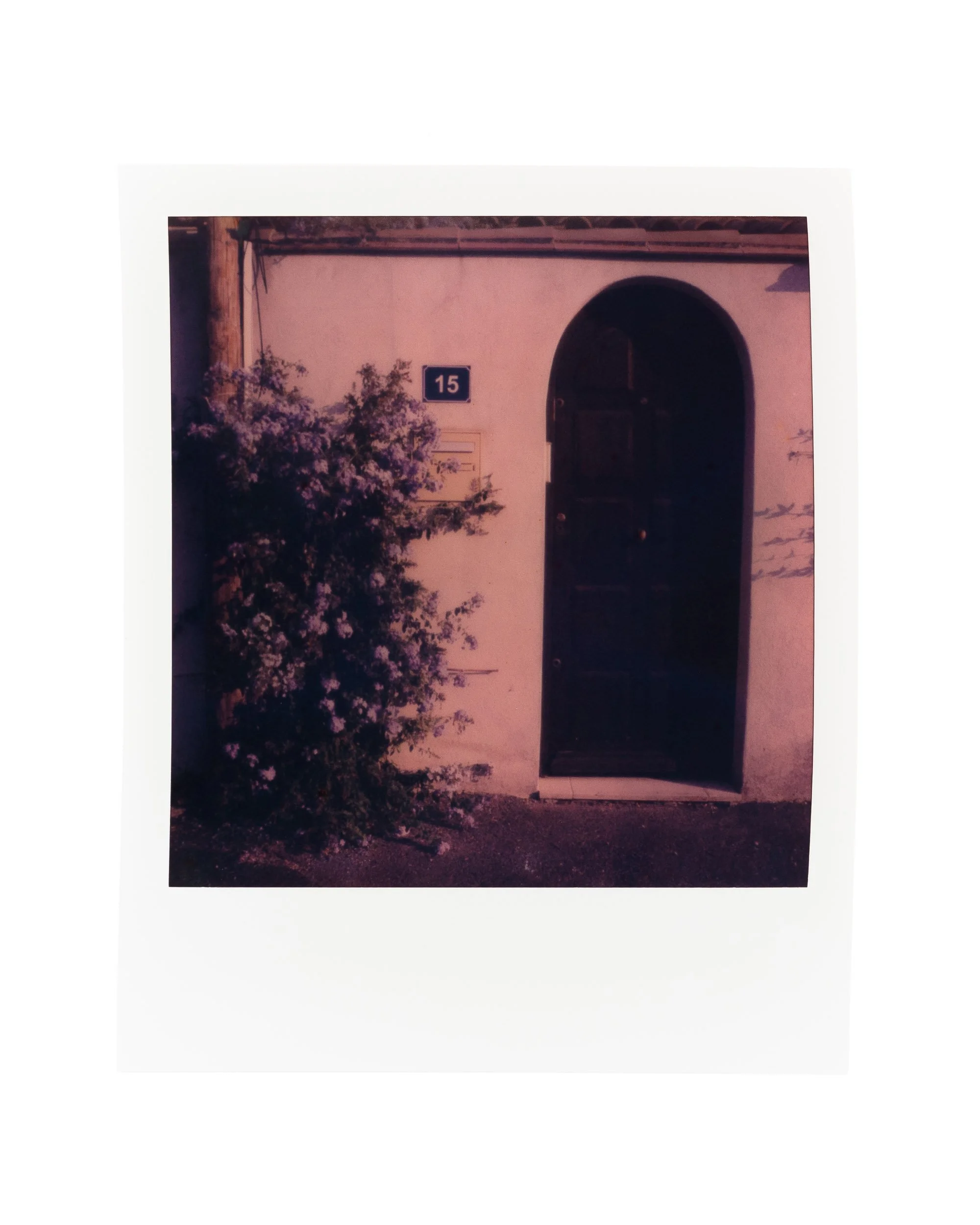 107.jpg