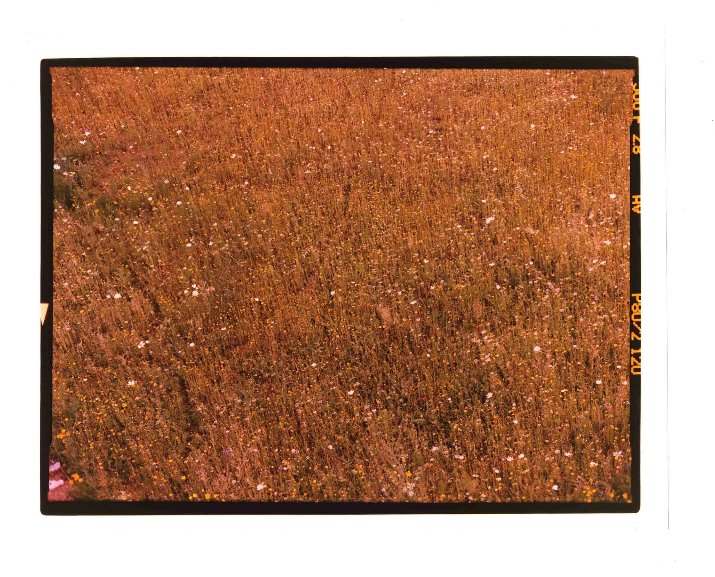 124.jpg