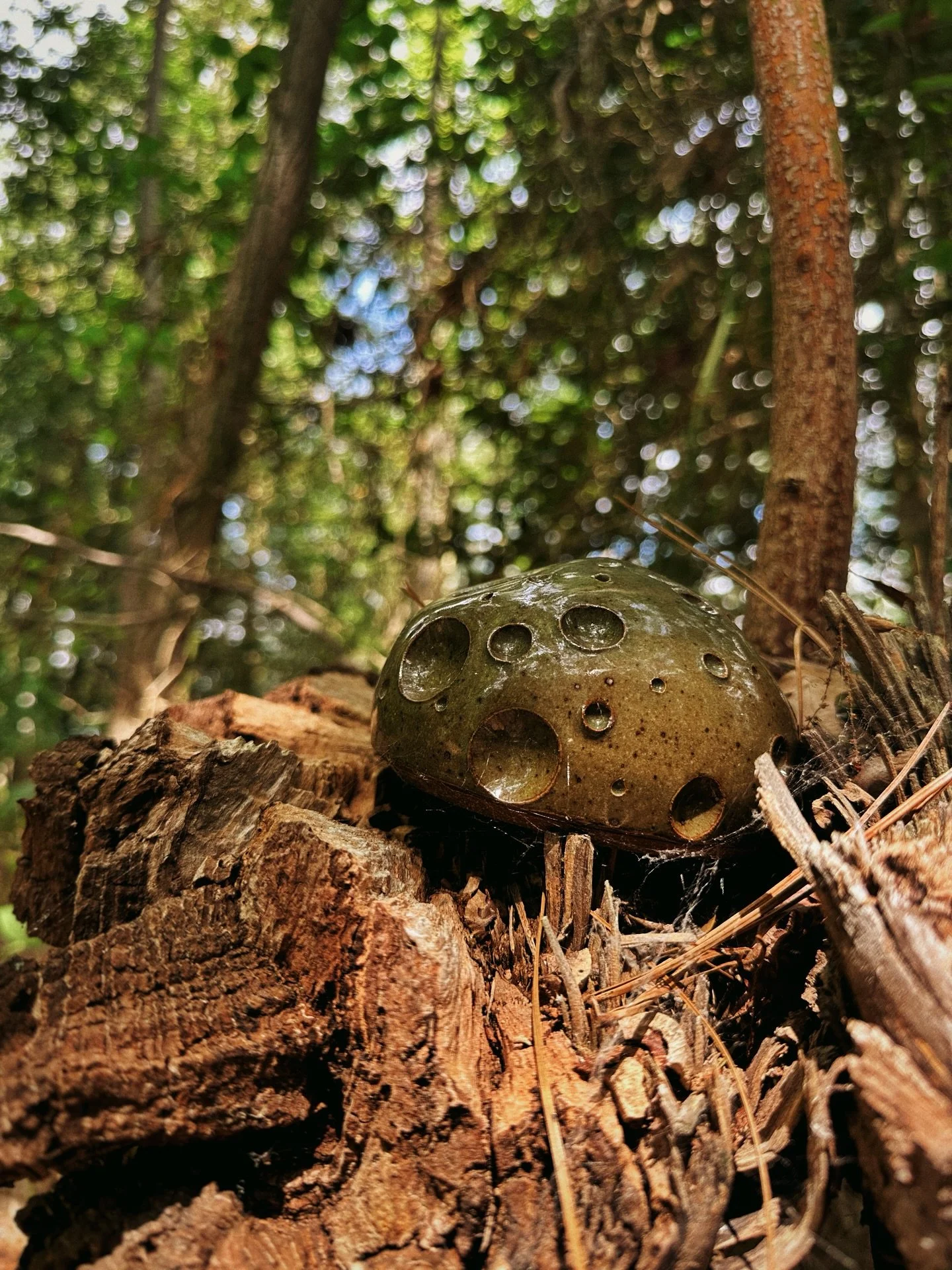 Thankful for the fellow creative souls in this universe. The ones who share so much and open up their world to others so they can see life from their perspective. It&rsquo;s nice to replenish your personal stores of inspiration, joy, curiosity, and w