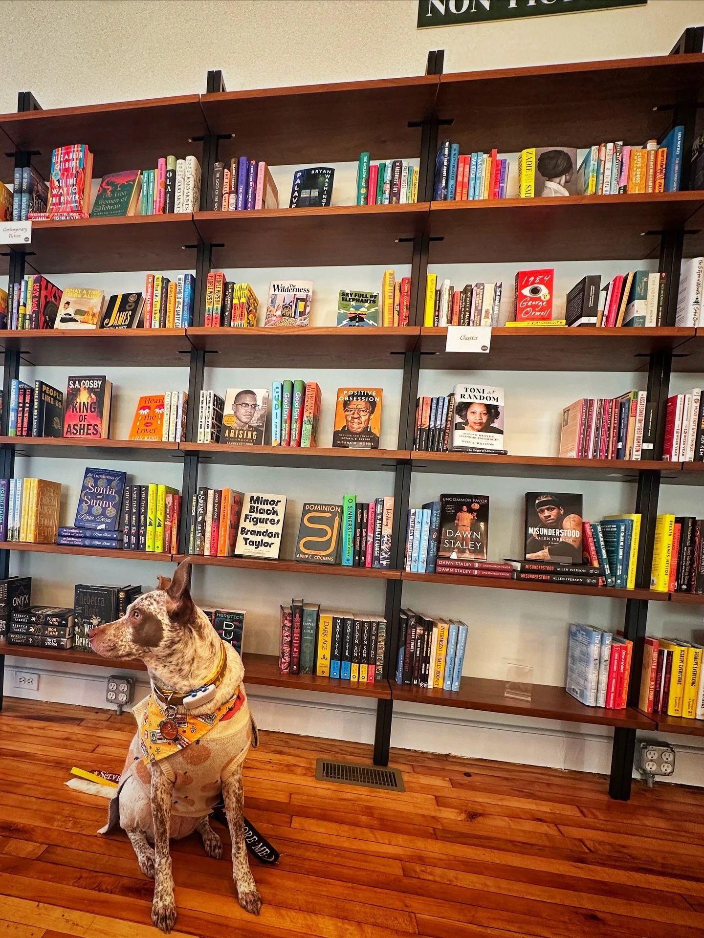 When your Mama and your Tia are book obsessed and a new bookshop opens in one of their fave coffee shops so you get to go check out a new place and work for snackos at the coolest new haunt in town! It was time for a Scarlet Hot Cider at the cafe sid