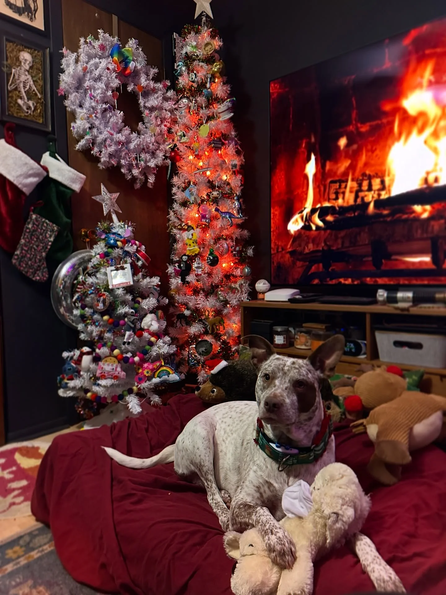 We have assembled and decorated both trees (mine and the dogs&rsquo;)! And thanks to the sudden cold snap (wtaf it was 60&deg; like a week ago!?) Bella is ready for me to unleash all her winter gear and holiday outfits. Expect lots of cute looks from