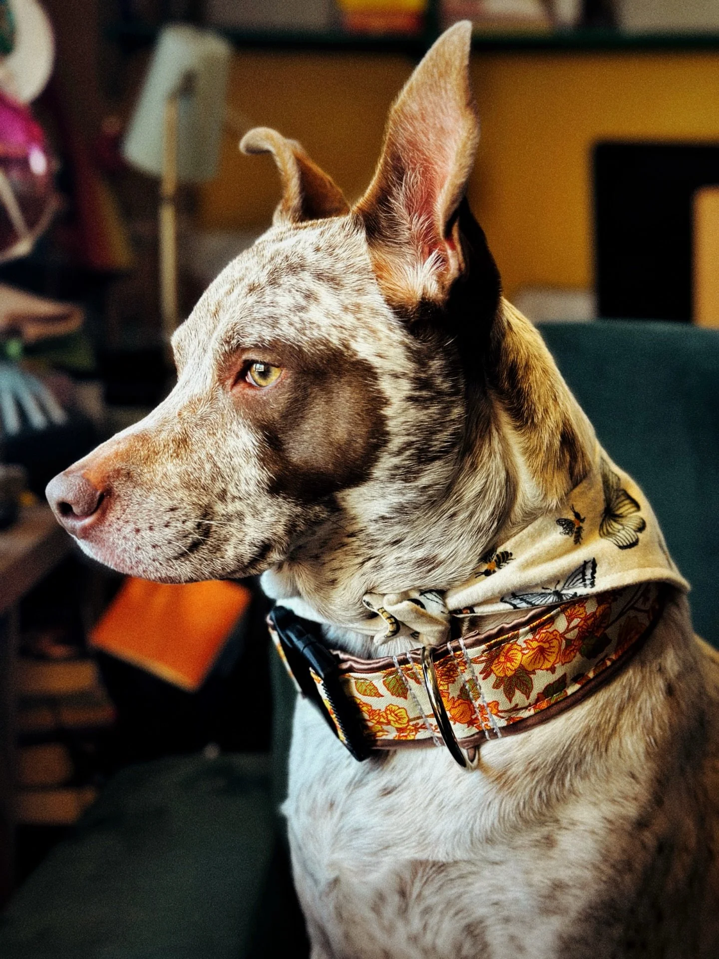 Completely unrelated to this photo but did anyone see the Oscar&rsquo;s? Is anyone as upset about them cutting off KPDH acceptance speeches as I am? Is anyone else fuming about best picture? Lmao cmon don&rsquo;t leave me hanging !!

Do you love movi